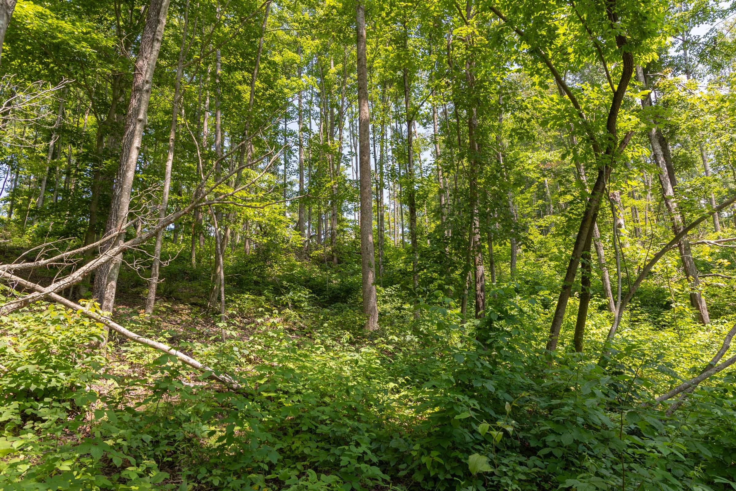 Creek Hollow Phase II Tract 58 photo 9