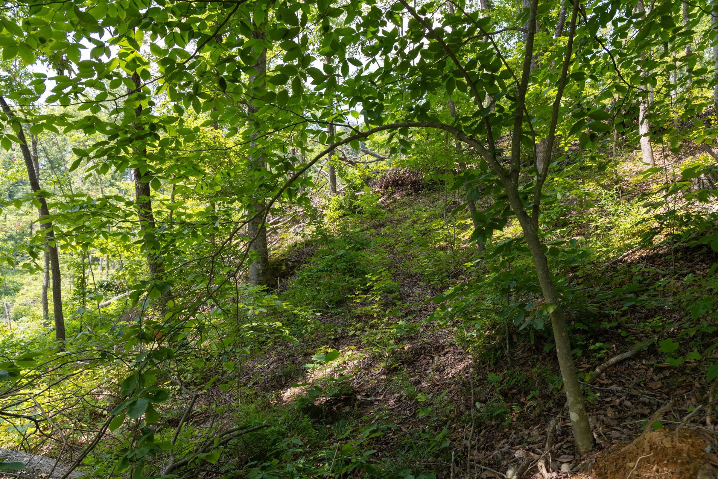Creek Hollow Phase II Tract 58 photo 5