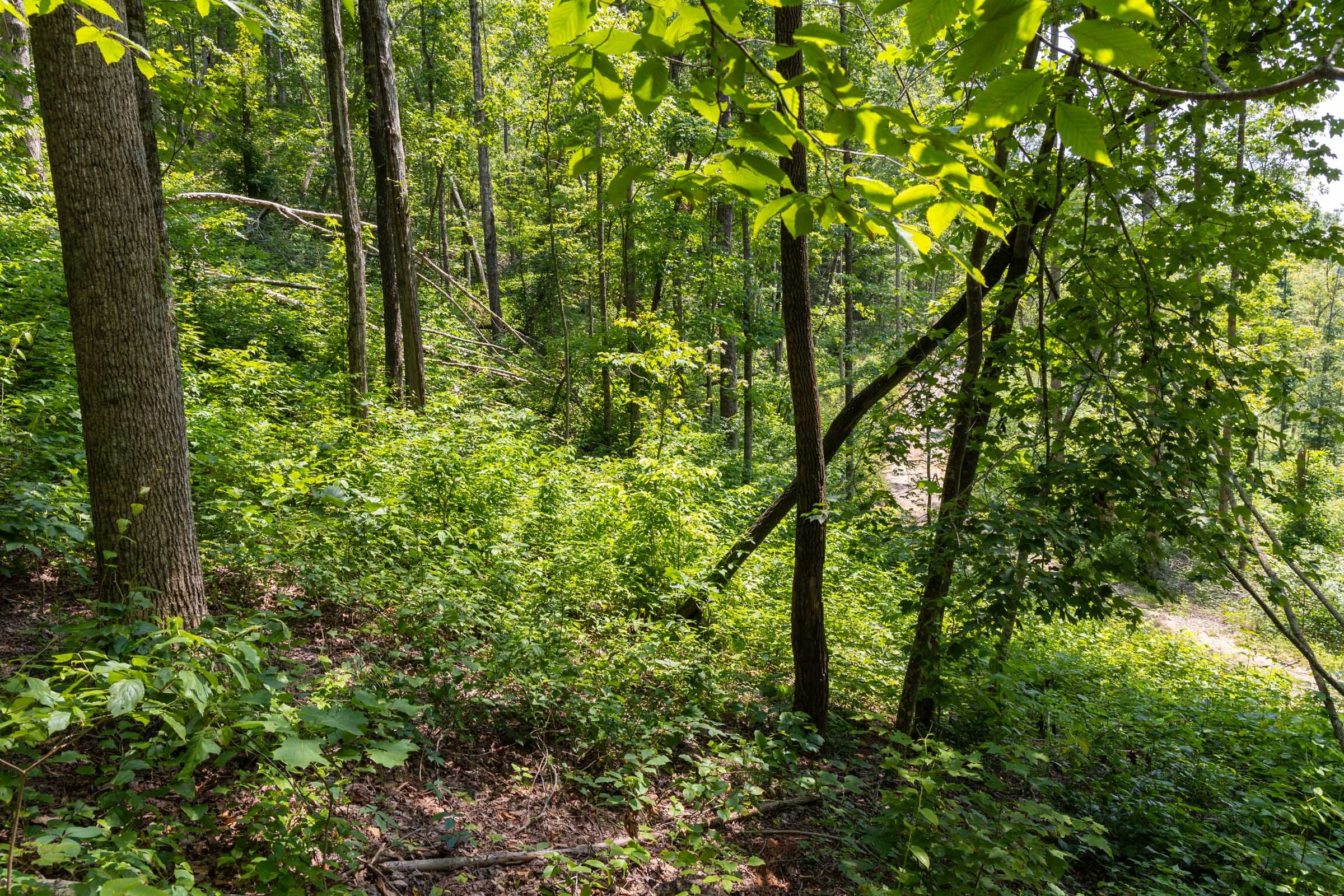 Creek Hollow Phase II Tract 58 photo 14