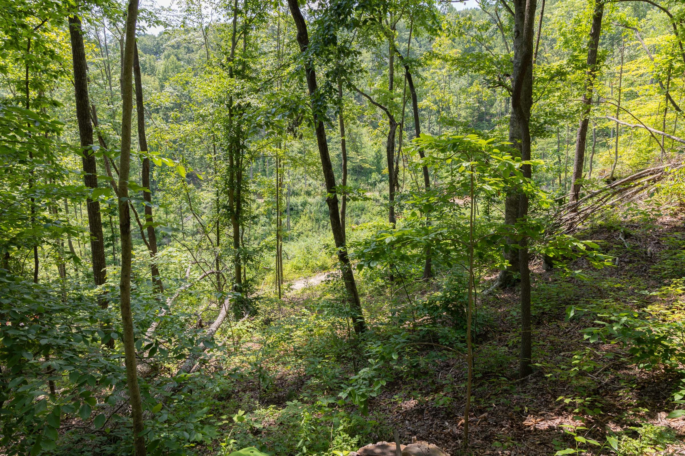 Creek Hollow Phase II Tract 58 photo 11