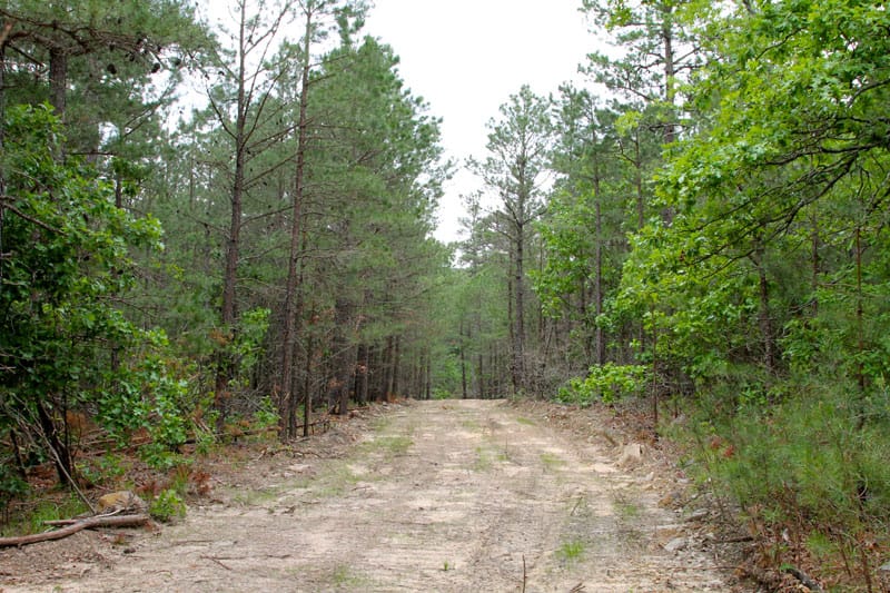 Trophy Ridge Phase II Tract 98 photo 1