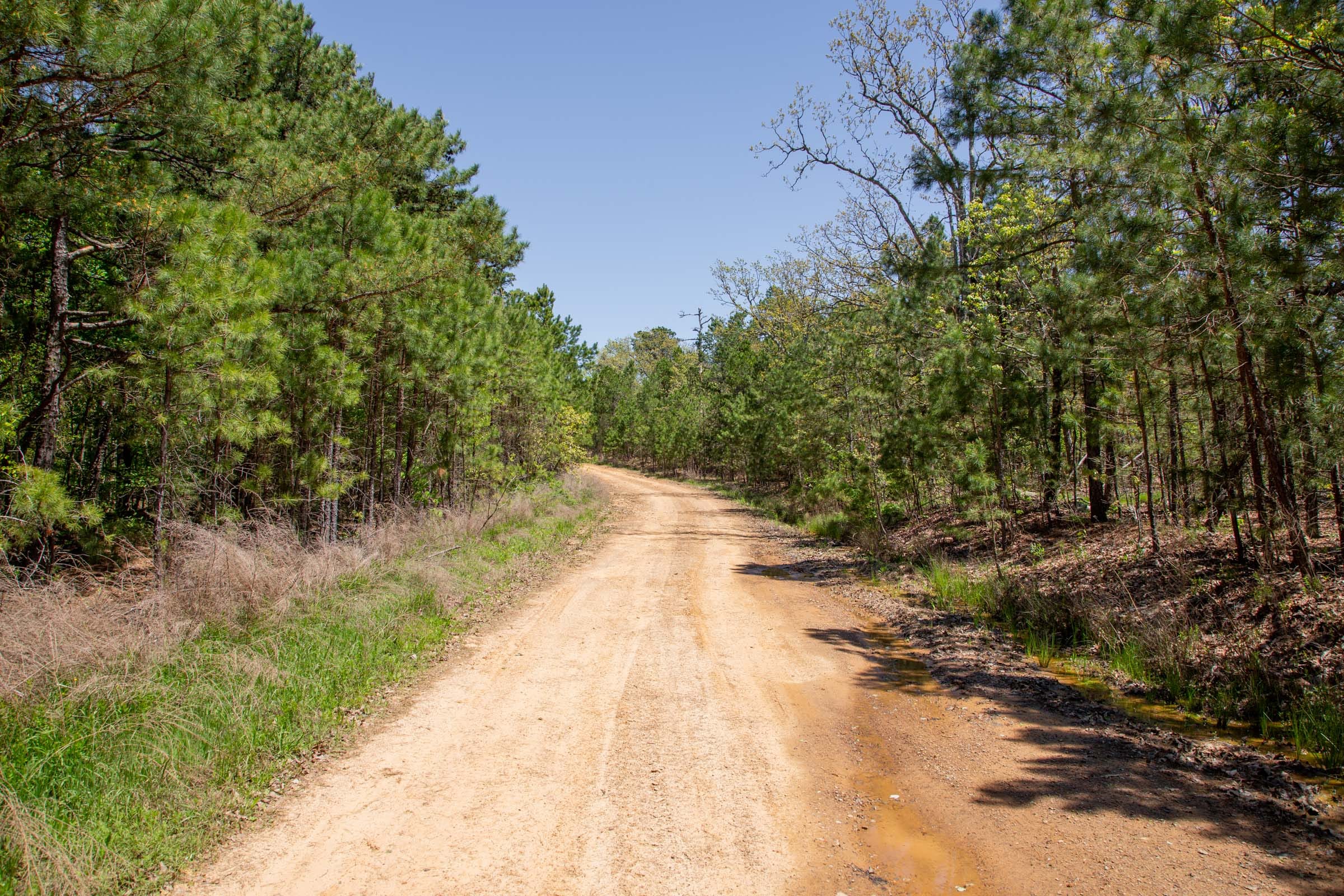 Eagle’s Nest Tract 10 photo 2