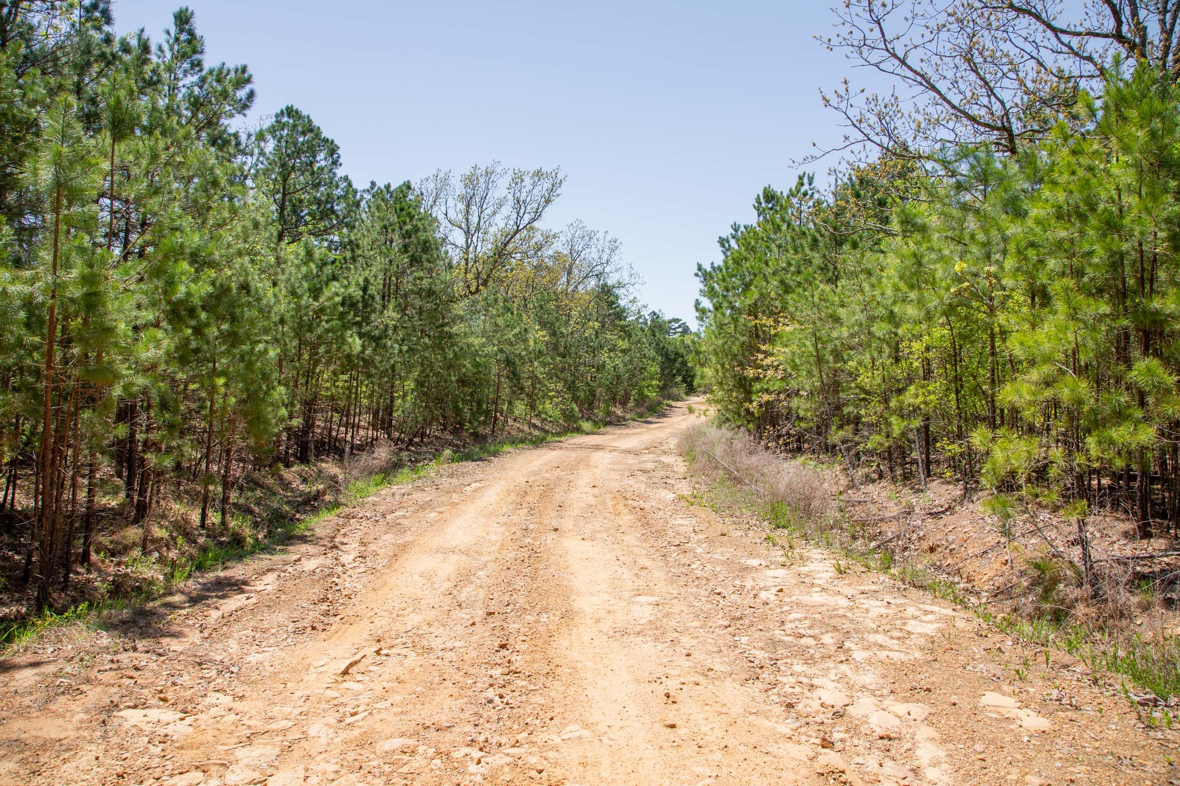 Eagle’s Nest Tract 10 photo 3