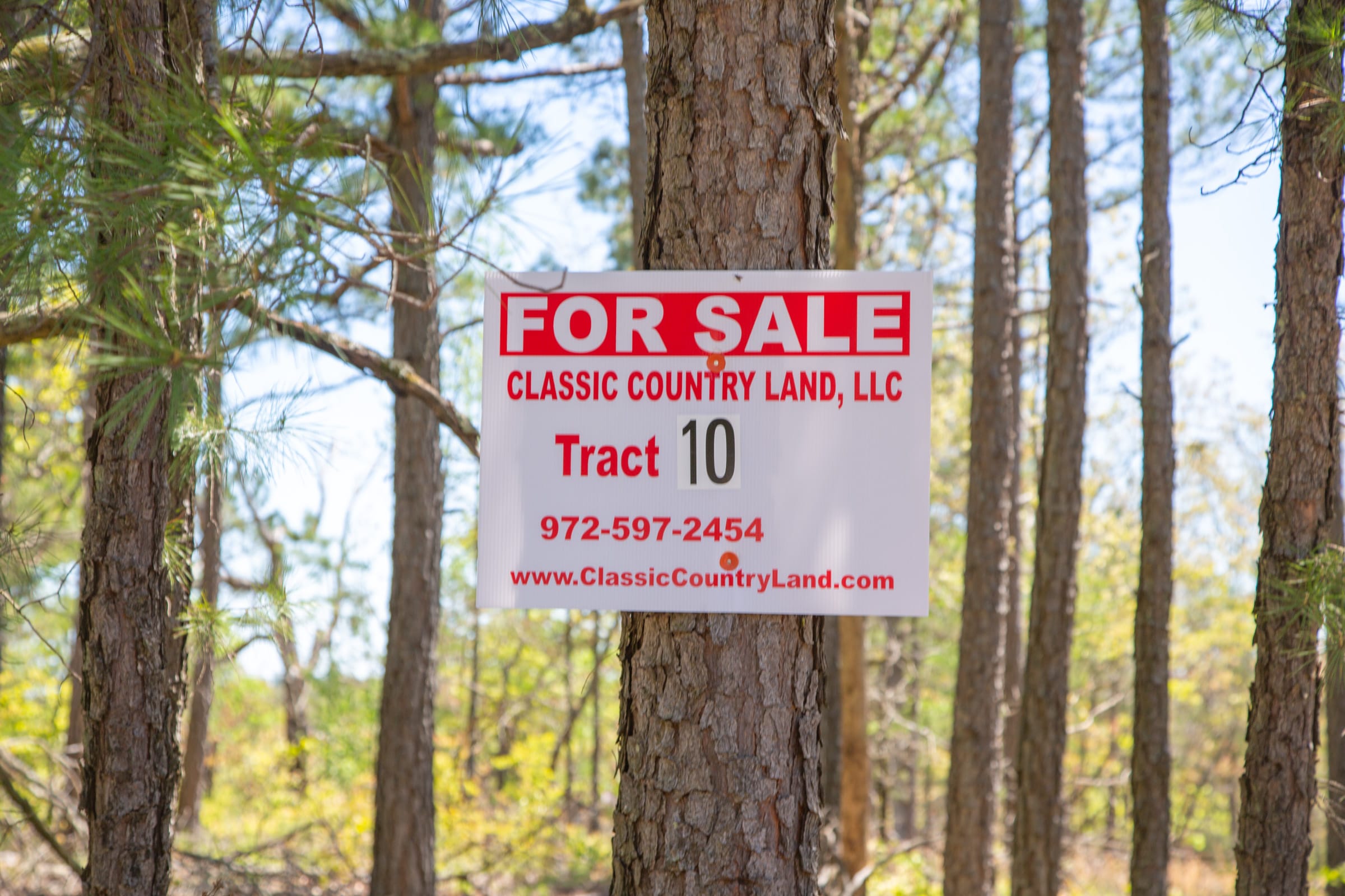 Eagle’s Nest Tract 10 photo 1