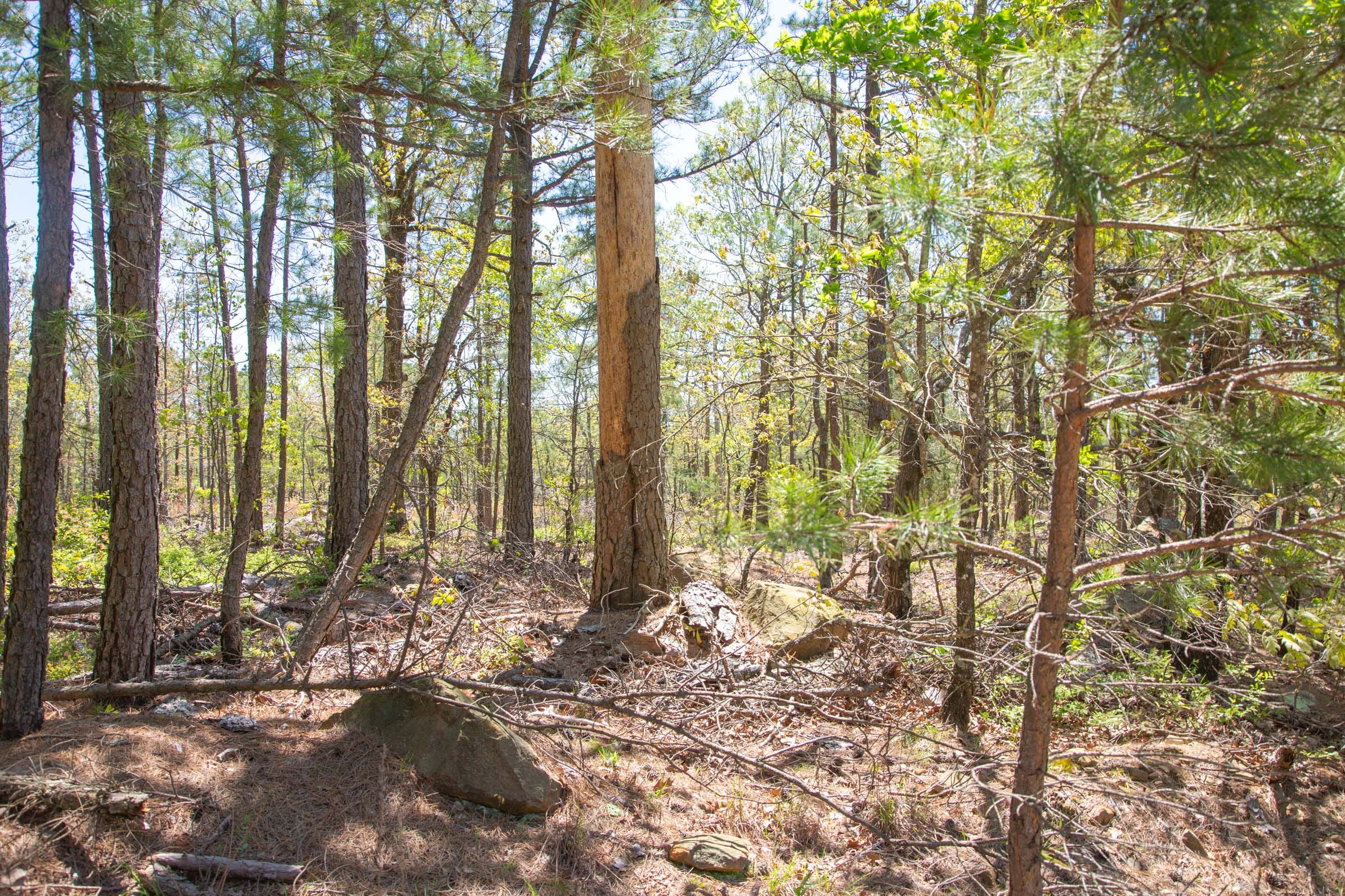 Eagle’s Nest Tract 10 photo 4