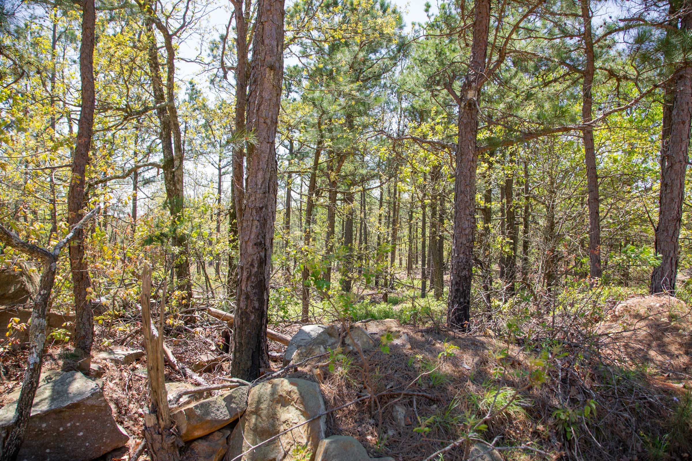 Eagle’s Nest Tract 10 photo 6