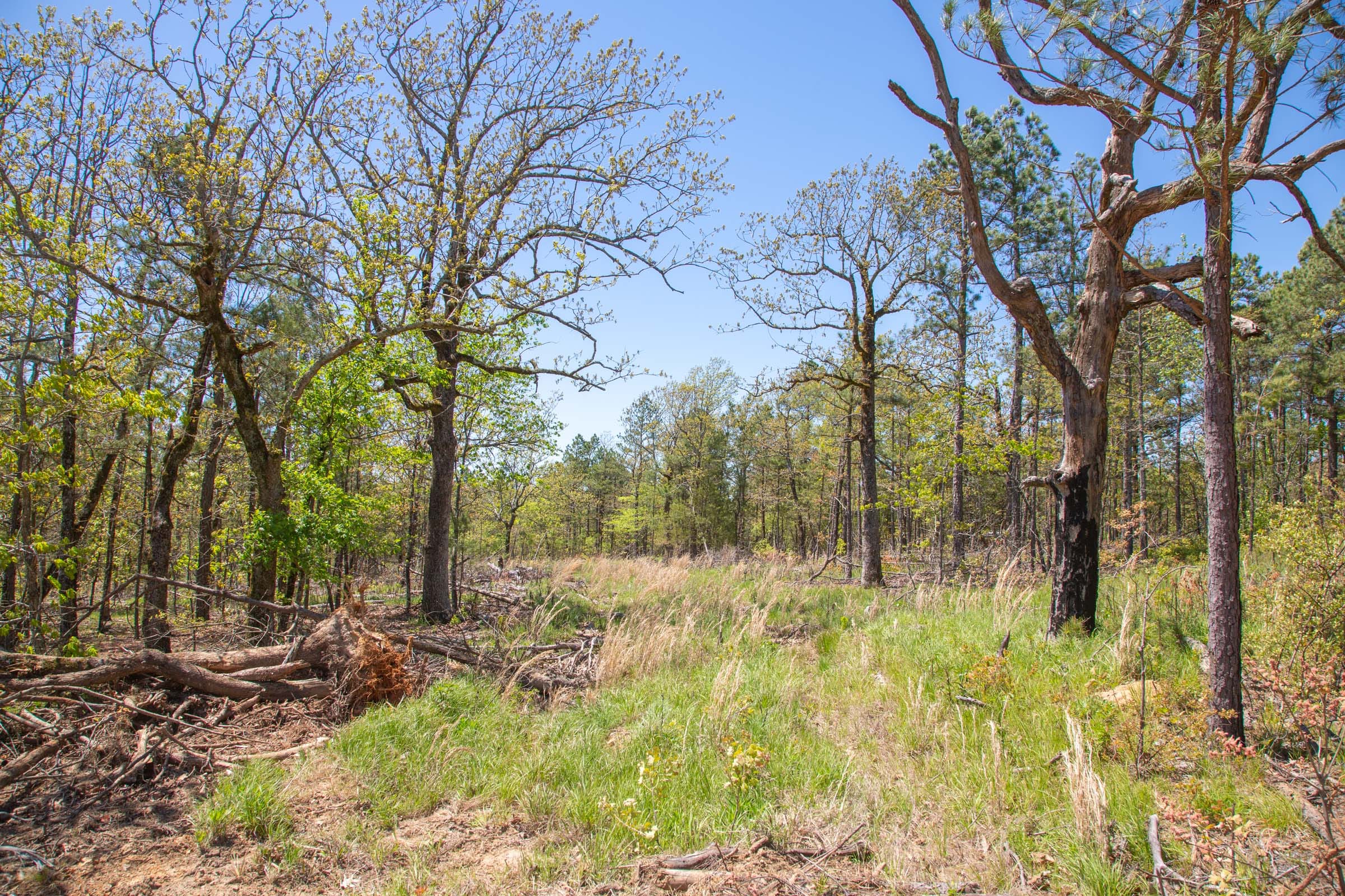 Eagle’s Nest Tract 10 photo 11