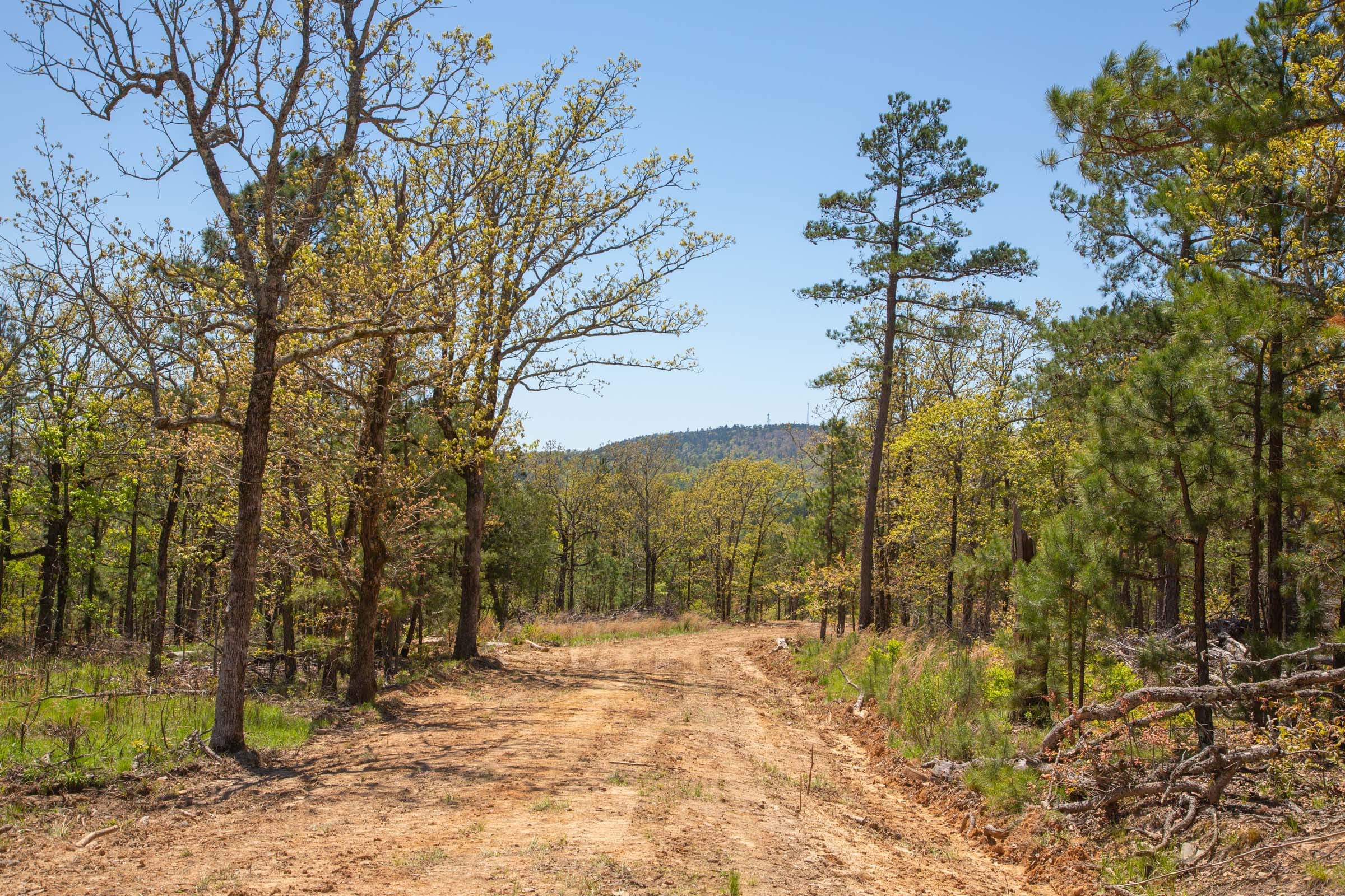 Eagle’s Nest Tract 10 photo 12