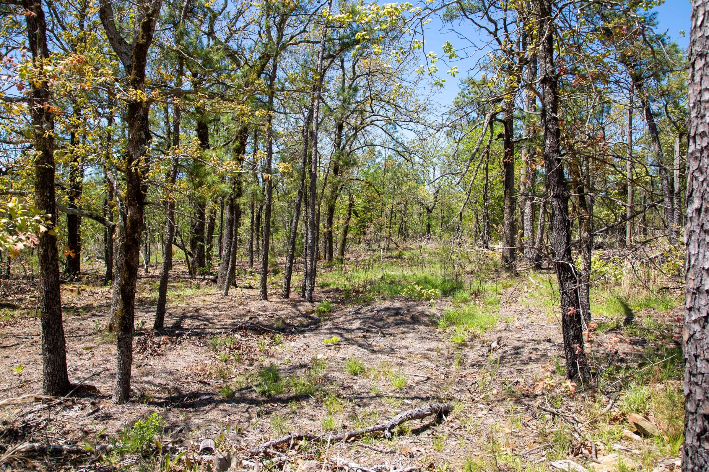 Eagle’s Nest Tract 10 photo 15
