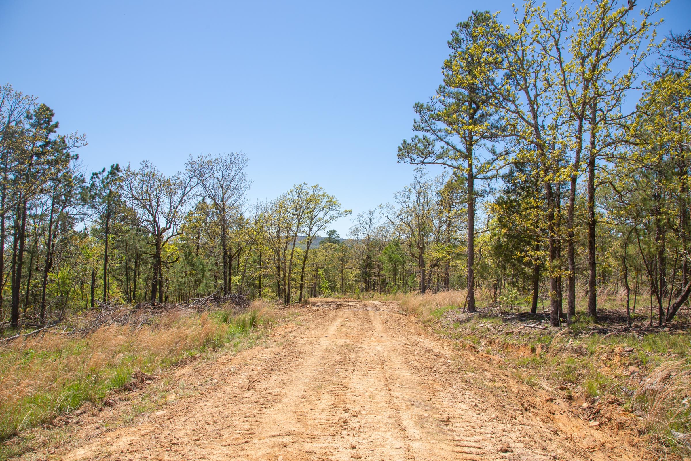Eagle’s Nest Tract 10 photo 16