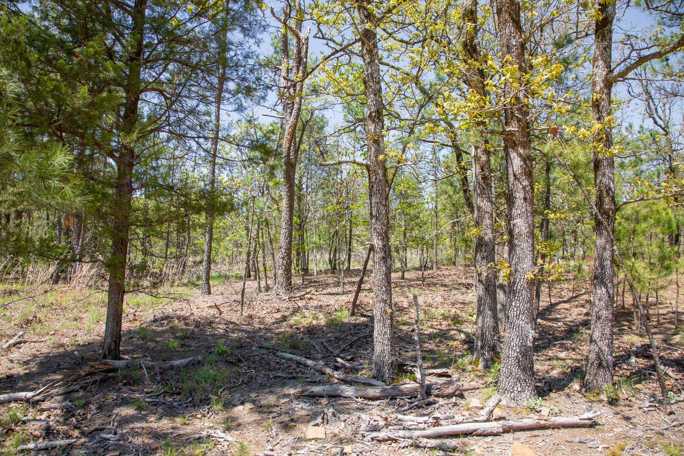 Eagle’s Nest Tract 10 photo 17