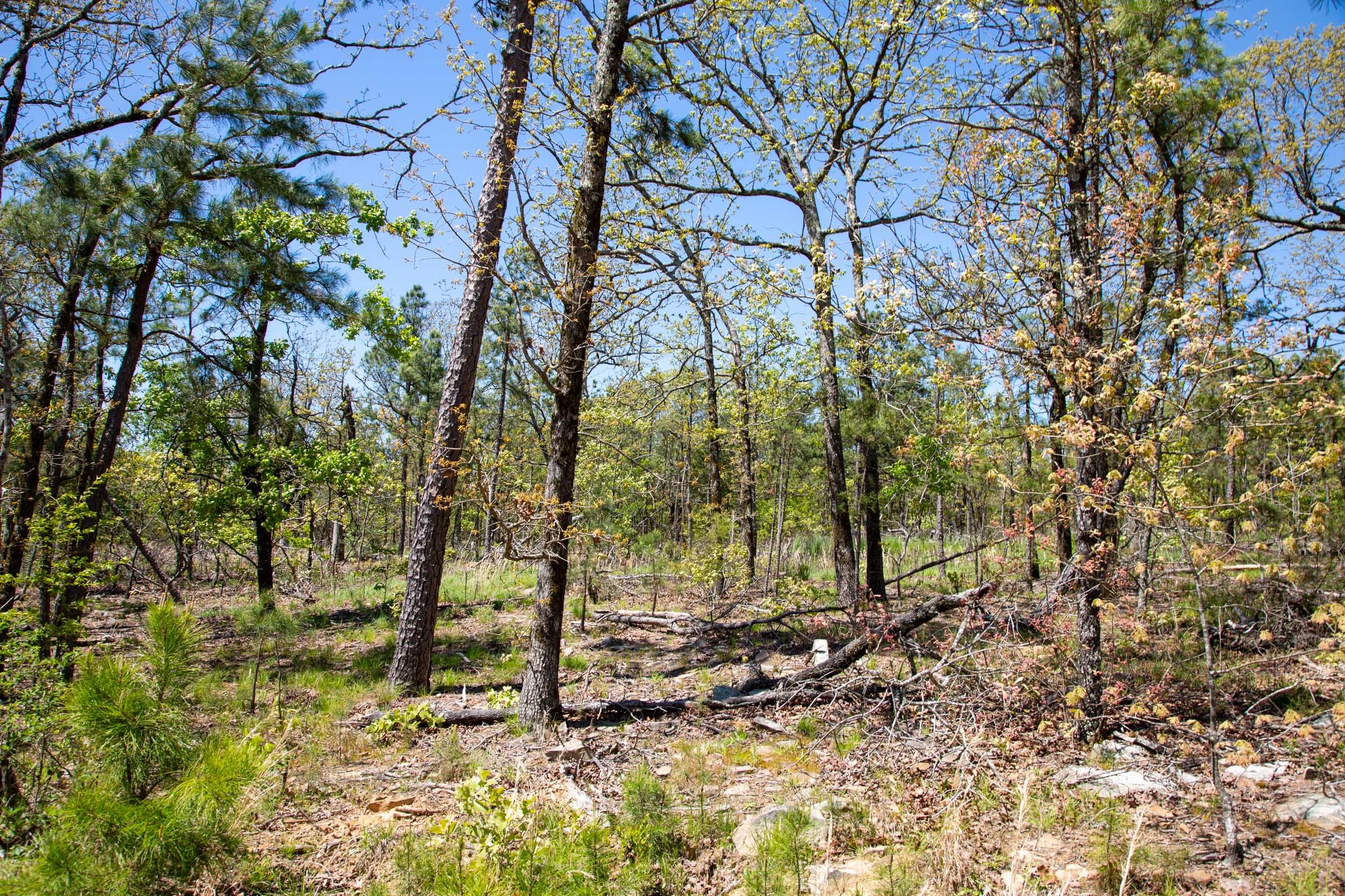 Eagle’s Nest Tract 10 photo 18
