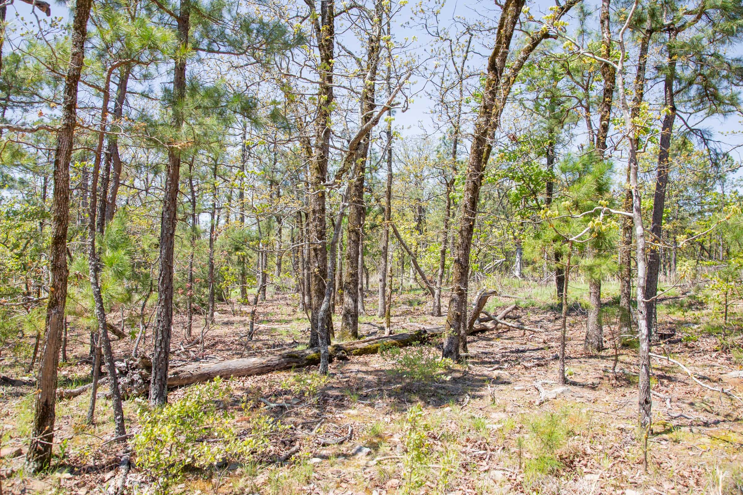 Eagle’s Nest Tract 10 photo 19