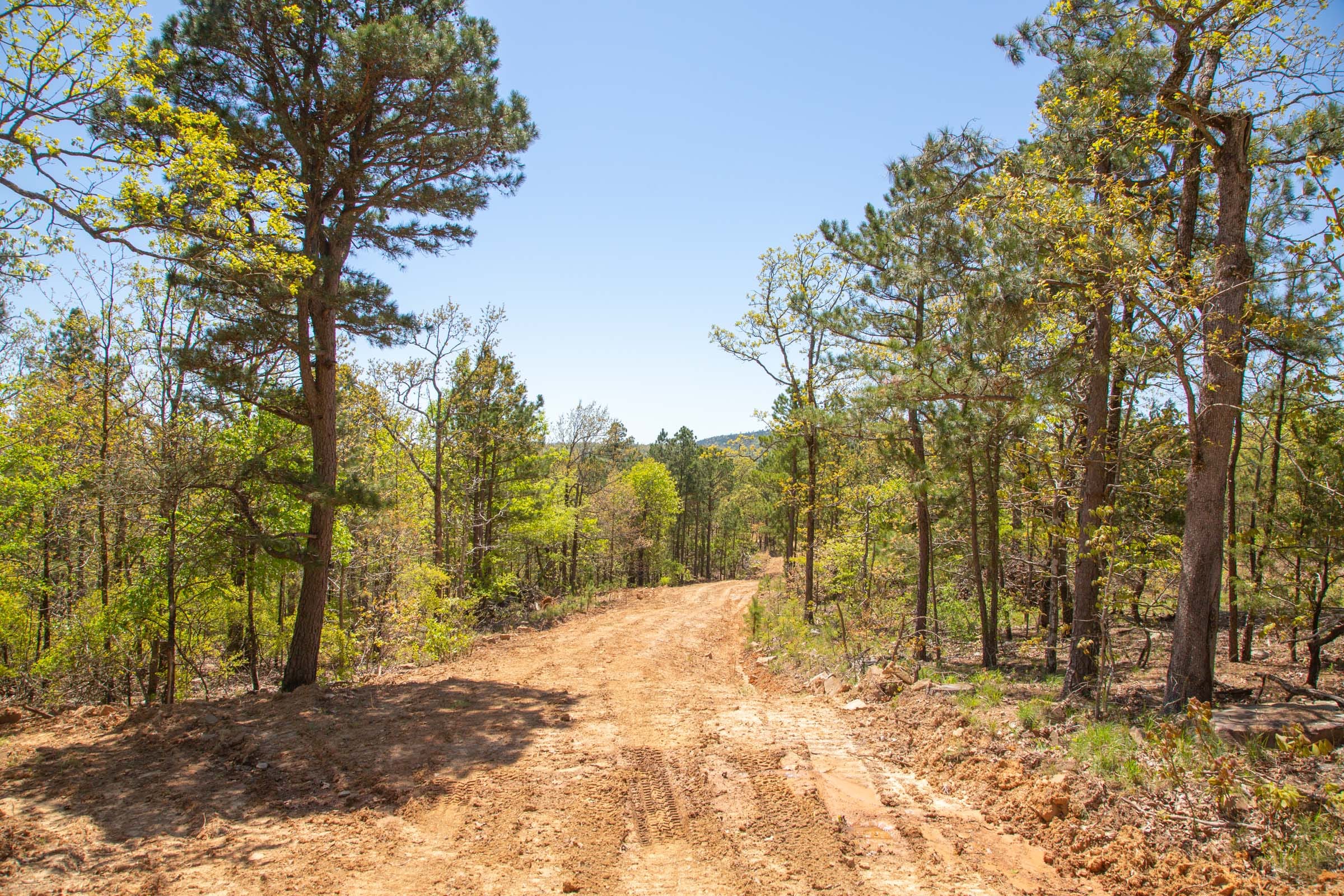 Eagle’s Nest Tract 10 photo 20