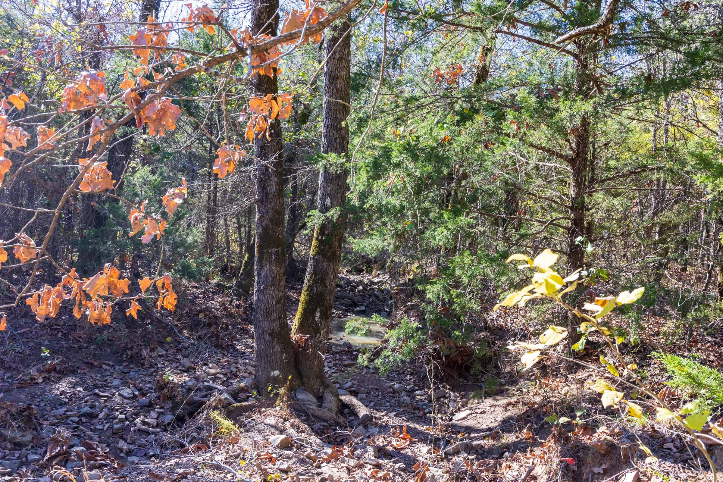 Stone Bridge Reserve Tract 8 photo 3