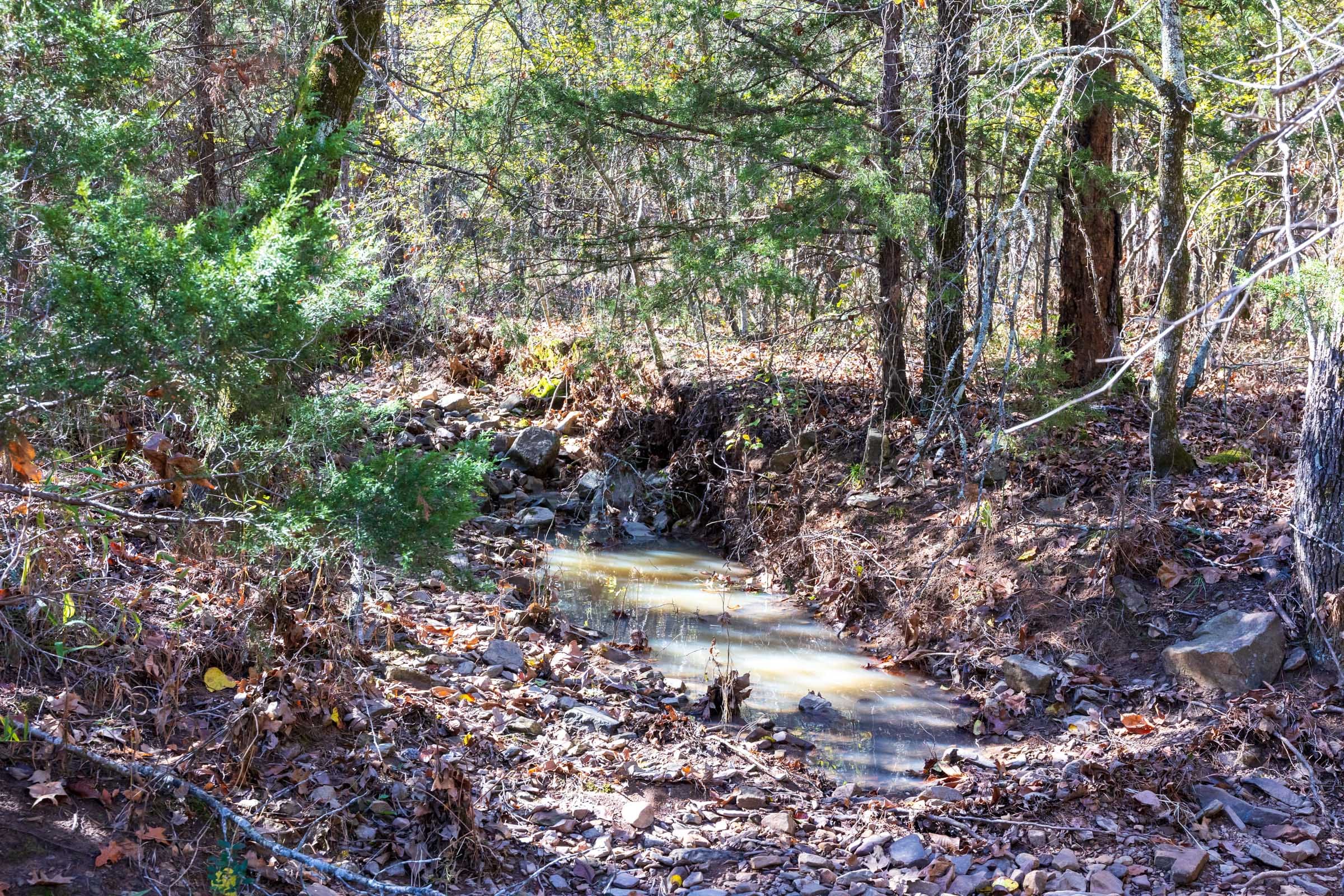 Stone Bridge Reserve Tract 8 photo 6