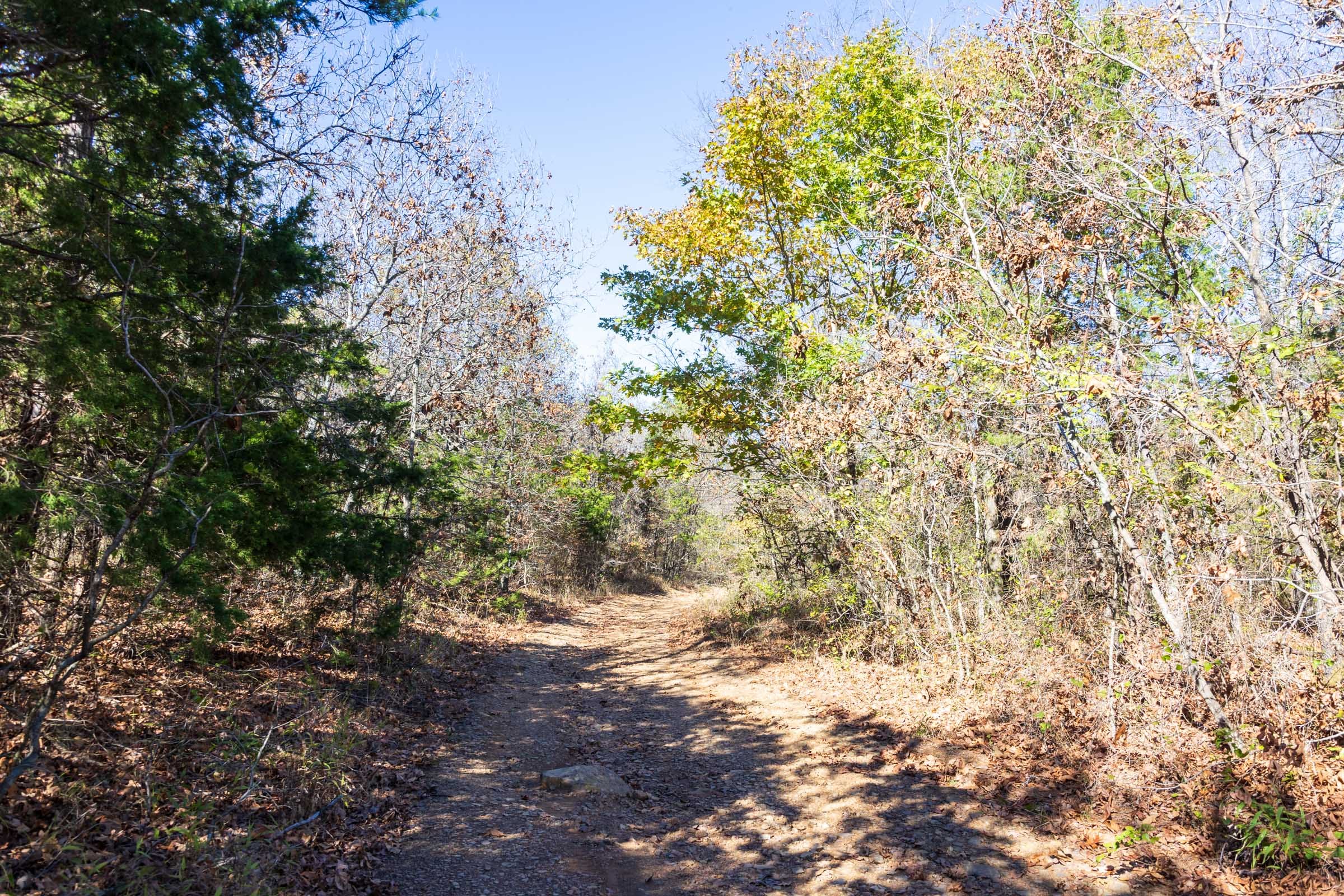 Stone Bridge Reserve Tract 8 photo 4