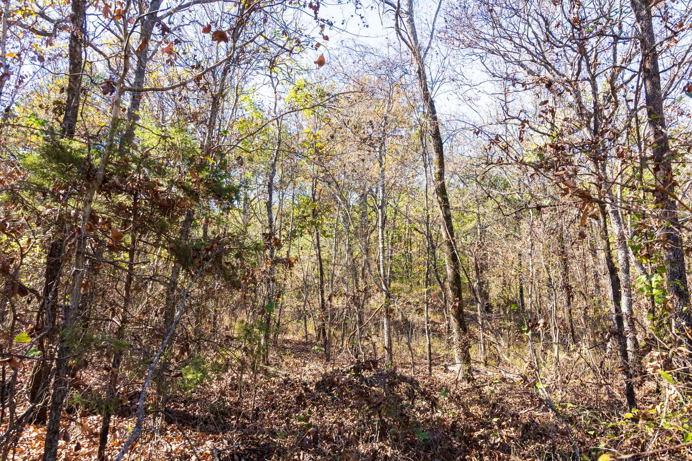 Stone Bridge Reserve Tract 8 photo 5