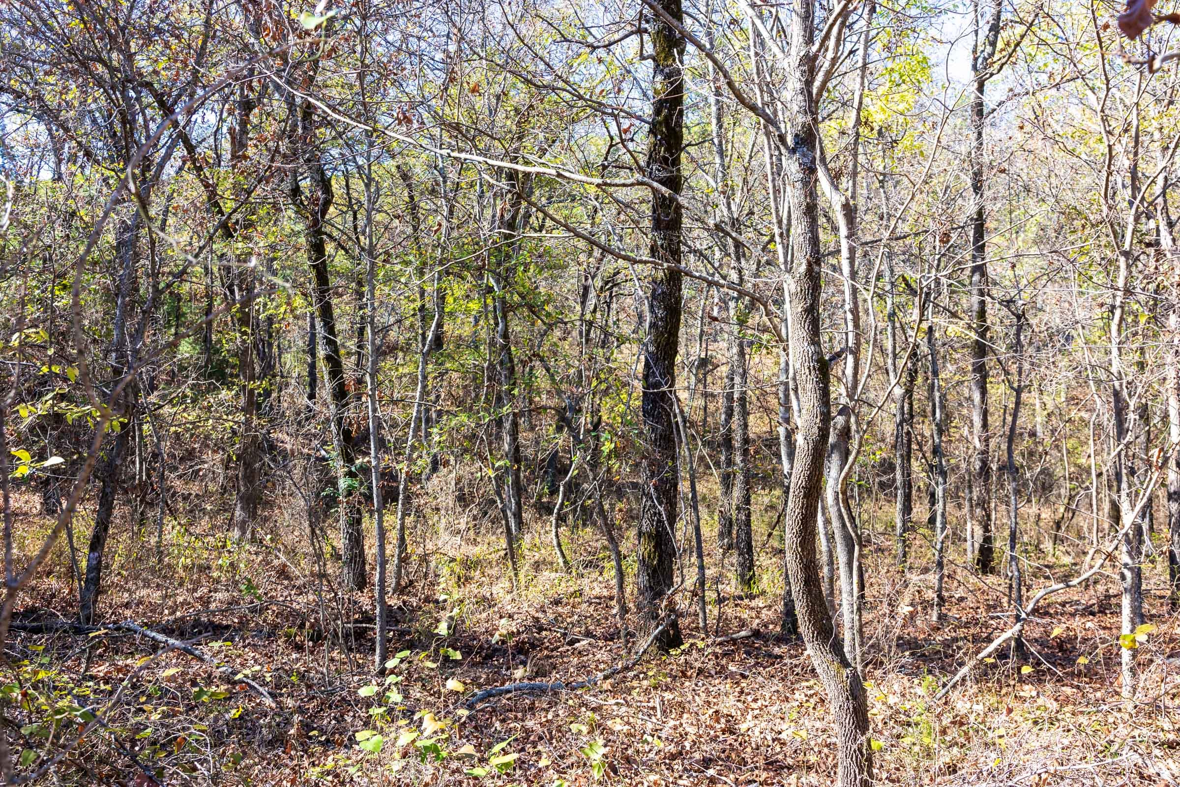 Stone Bridge Reserve Tract 8 photo 2
