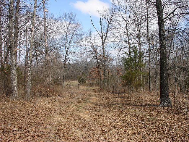 Barnes Hollow Tract 3 photo 10