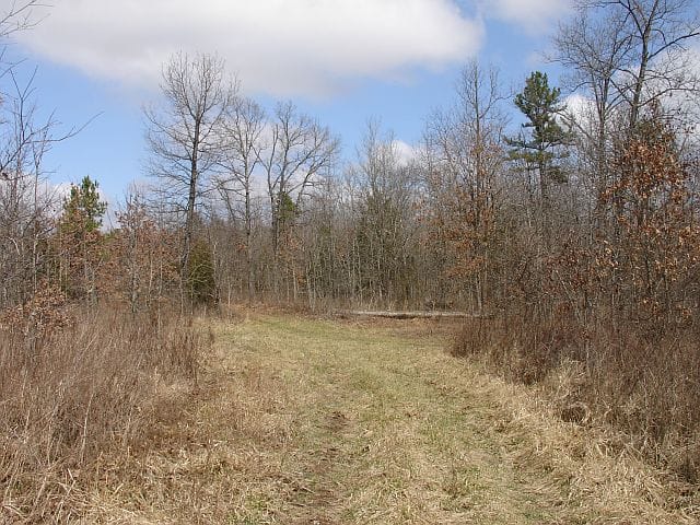 Barnes Hollow Tract 3 photo 12