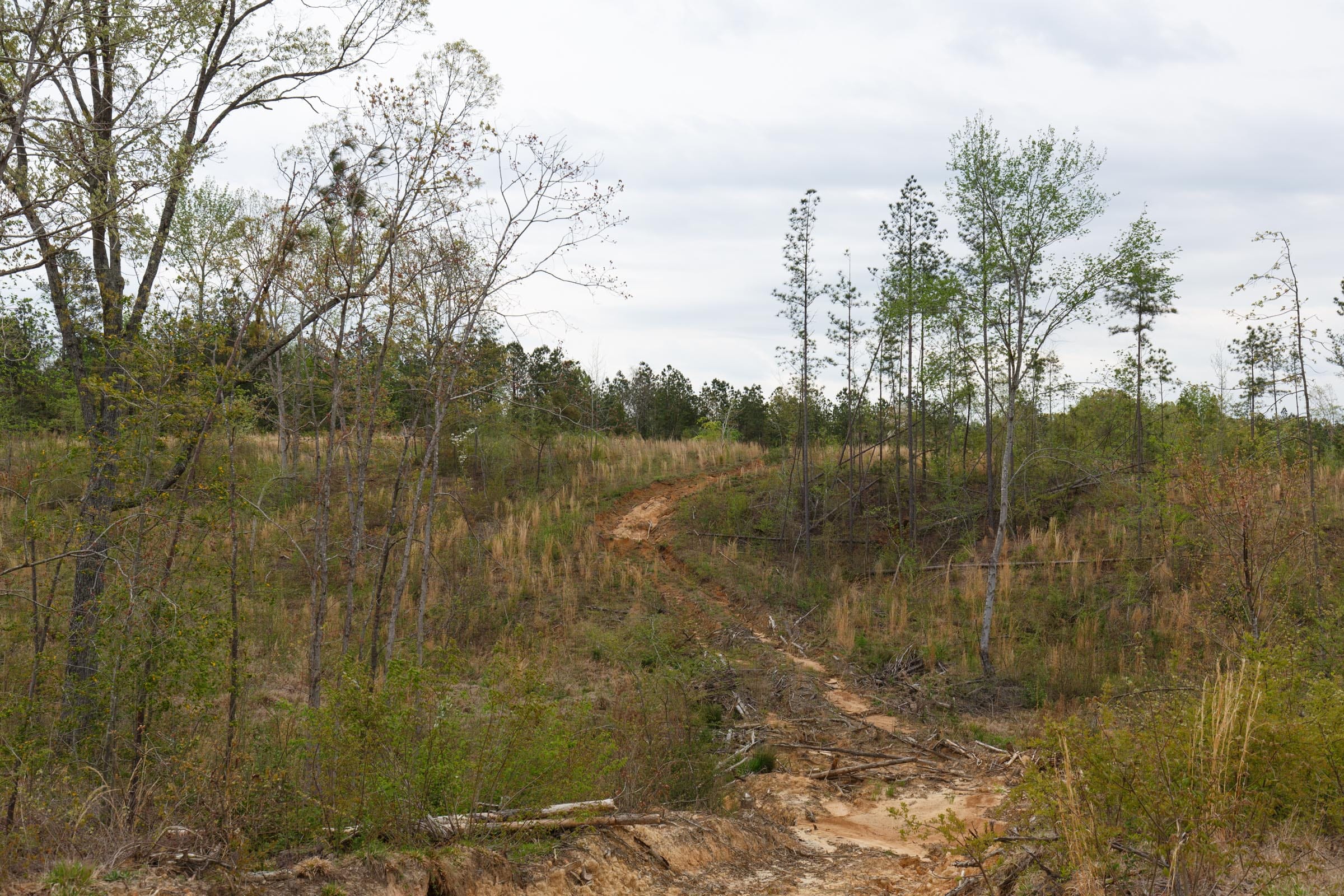 Twin Rivers Tract 32 photo 5