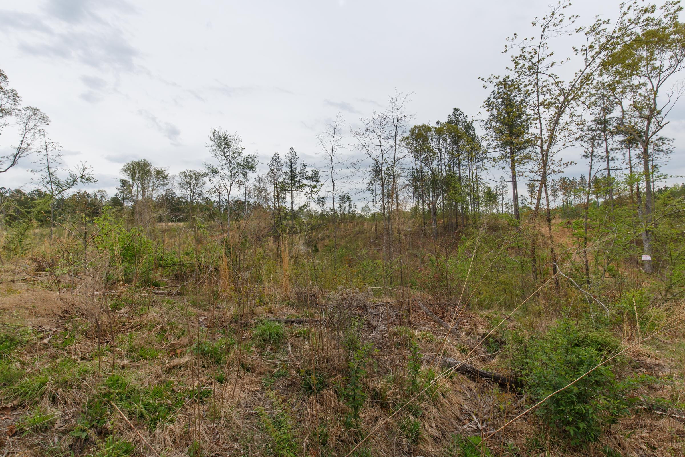 Twin Rivers Tract 32 photo 4