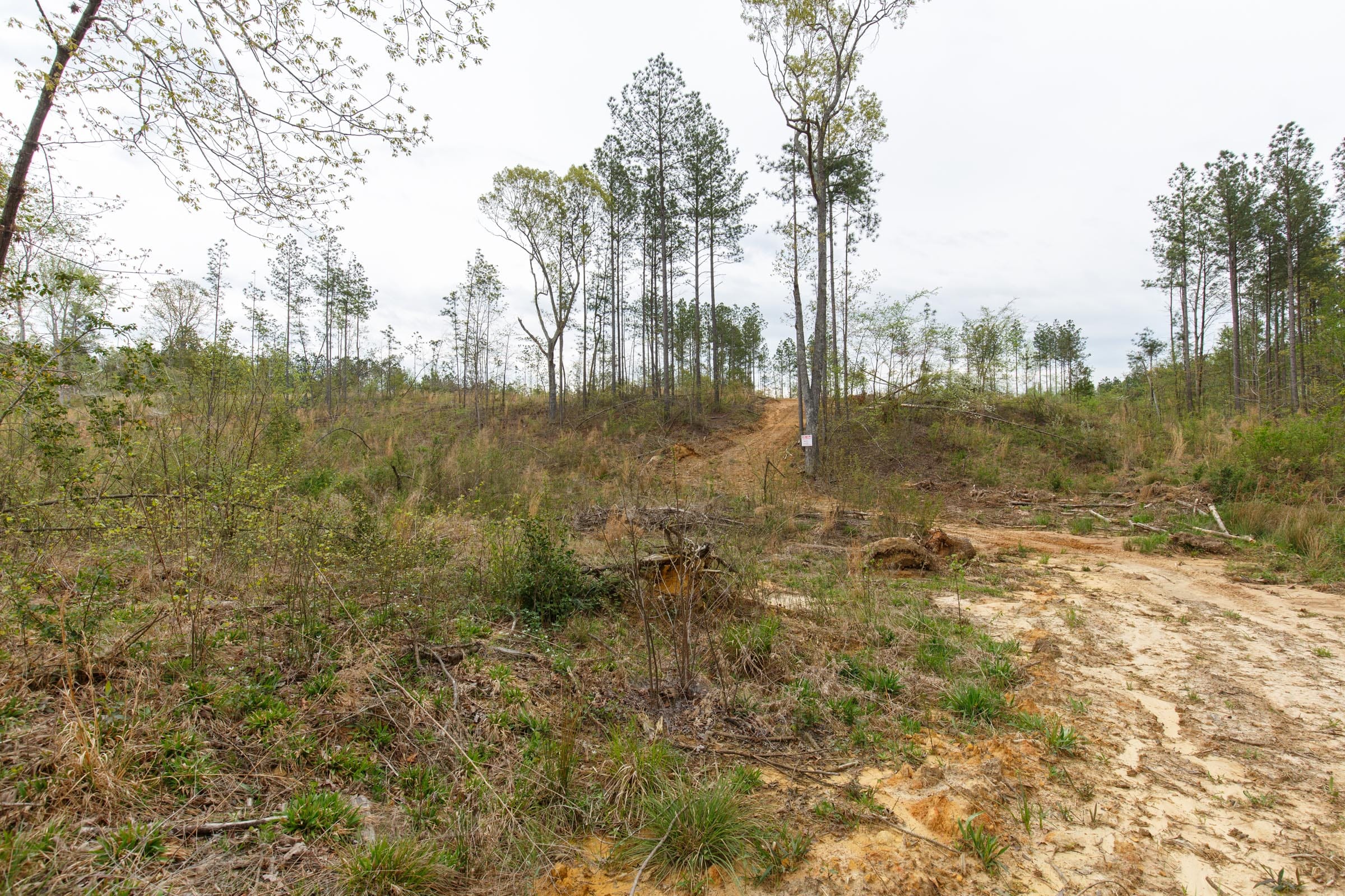 Twin Rivers Tract 32 photo 15