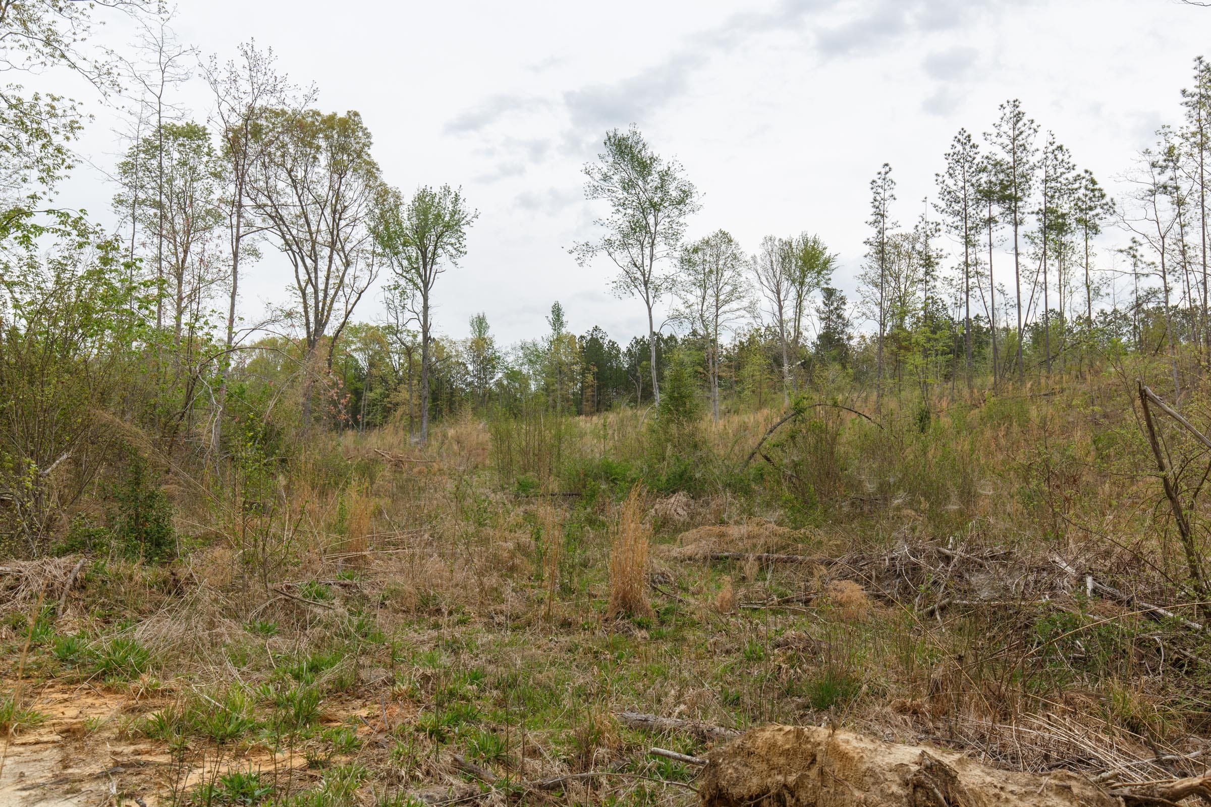 Twin Rivers Tract 32 photo 6