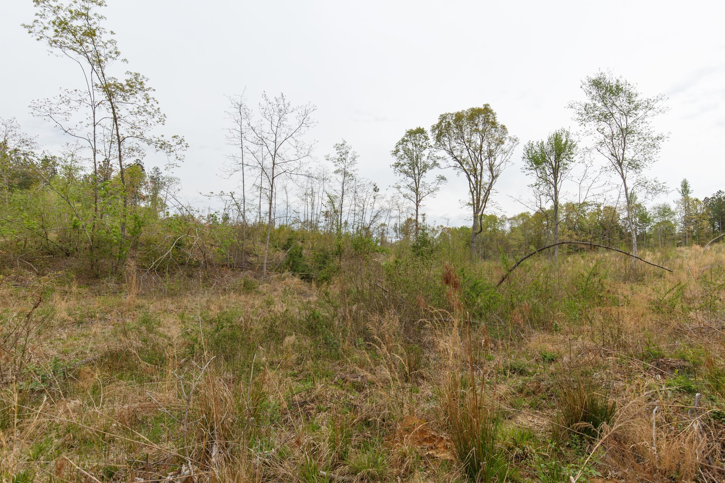 Twin Rivers Tract 32 photo 7