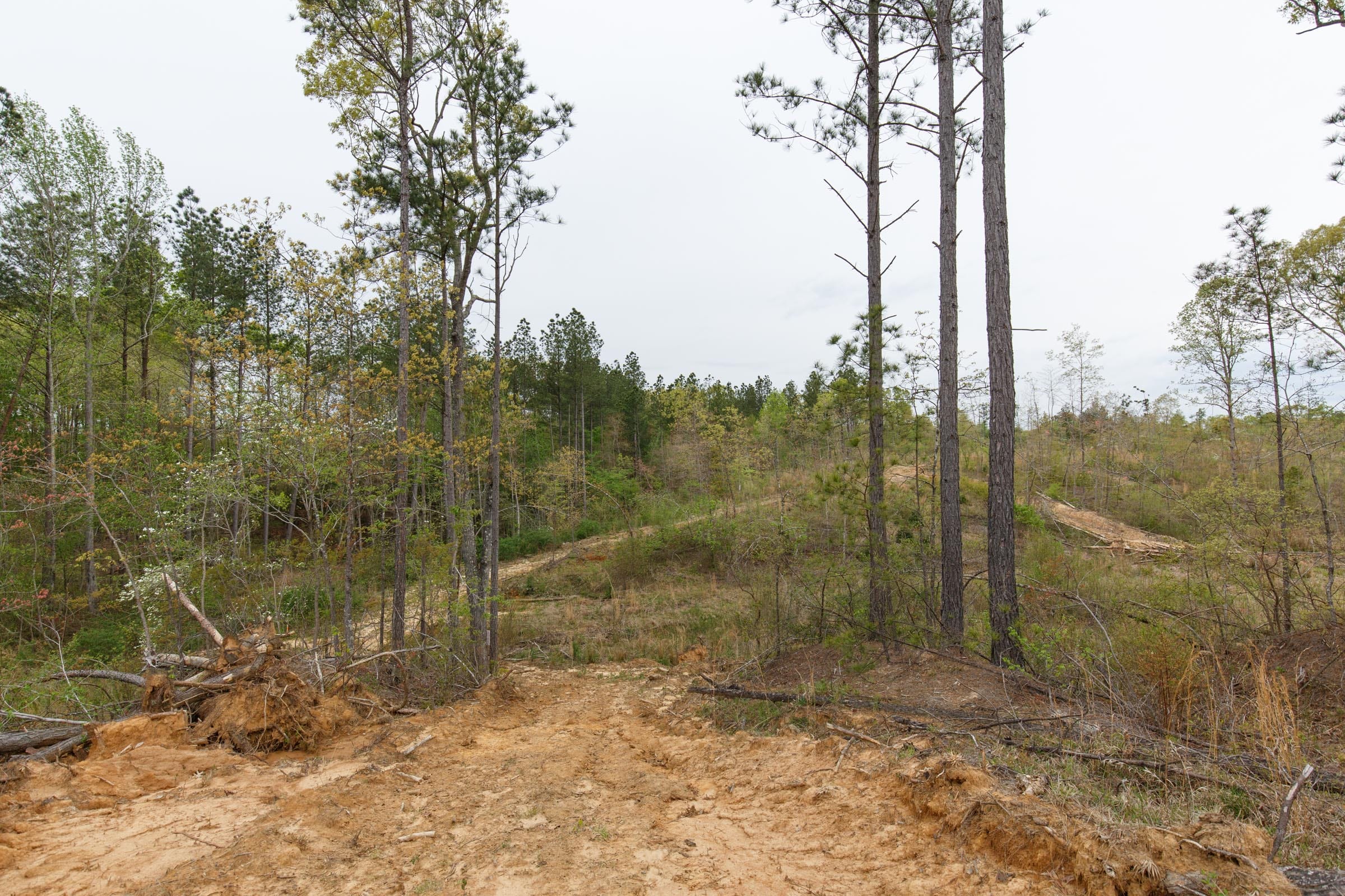 Twin Rivers Tract 32 photo 12