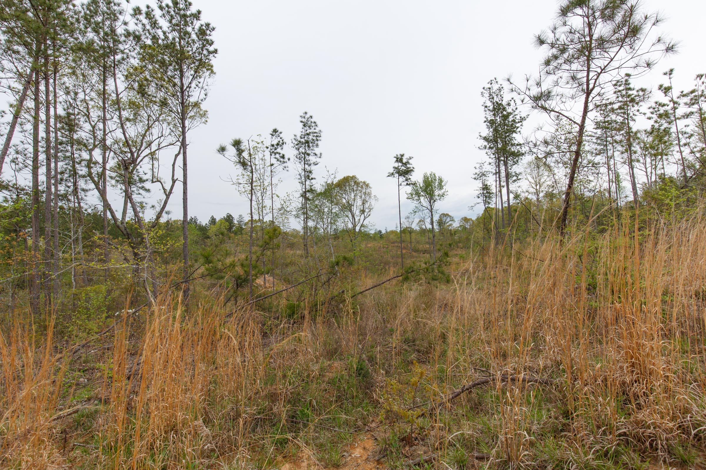 Twin Rivers Tract 32 photo 9
