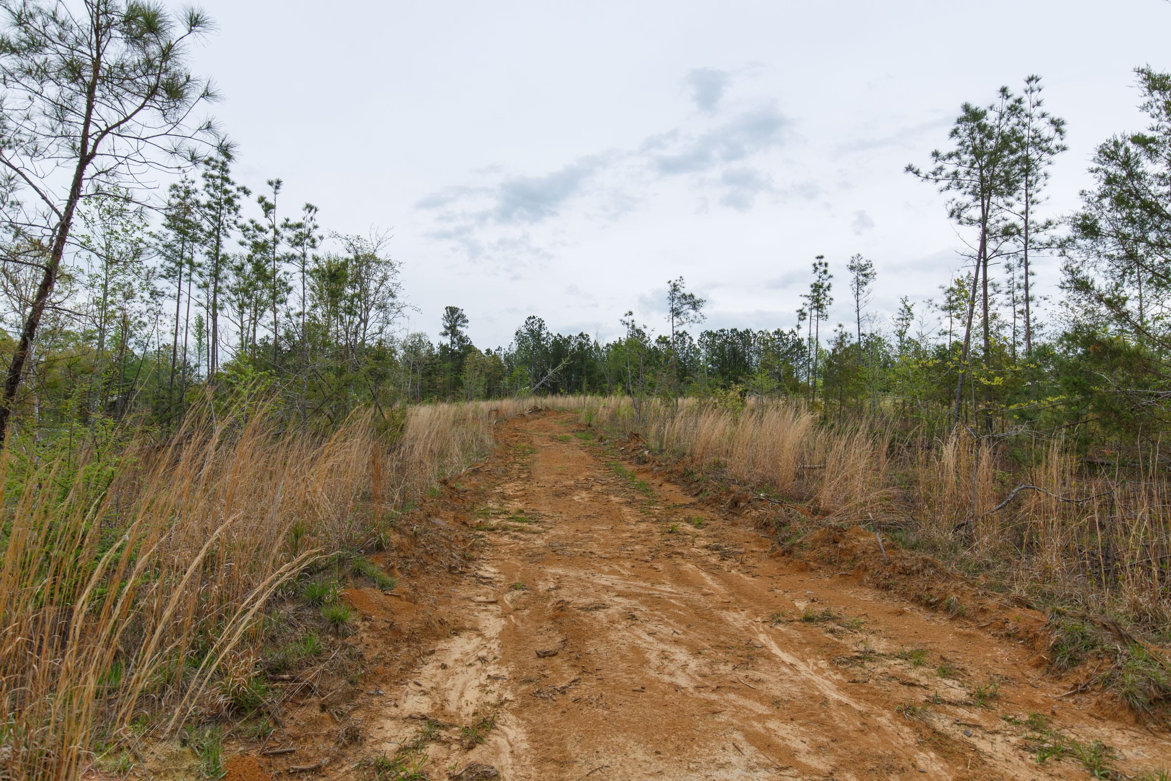 Twin Rivers Tract 32 photo 2