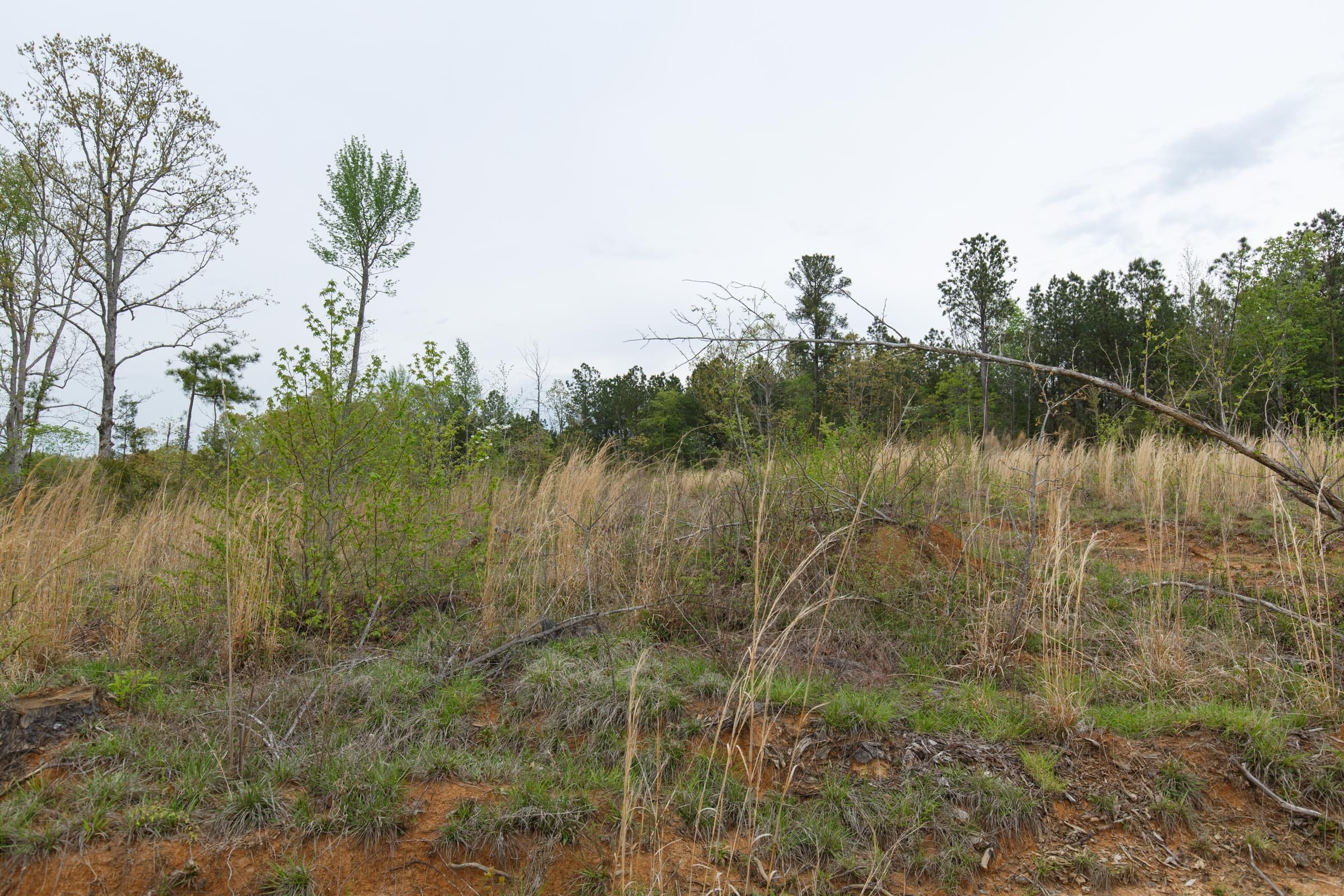Twin Rivers Tract 32 photo 11