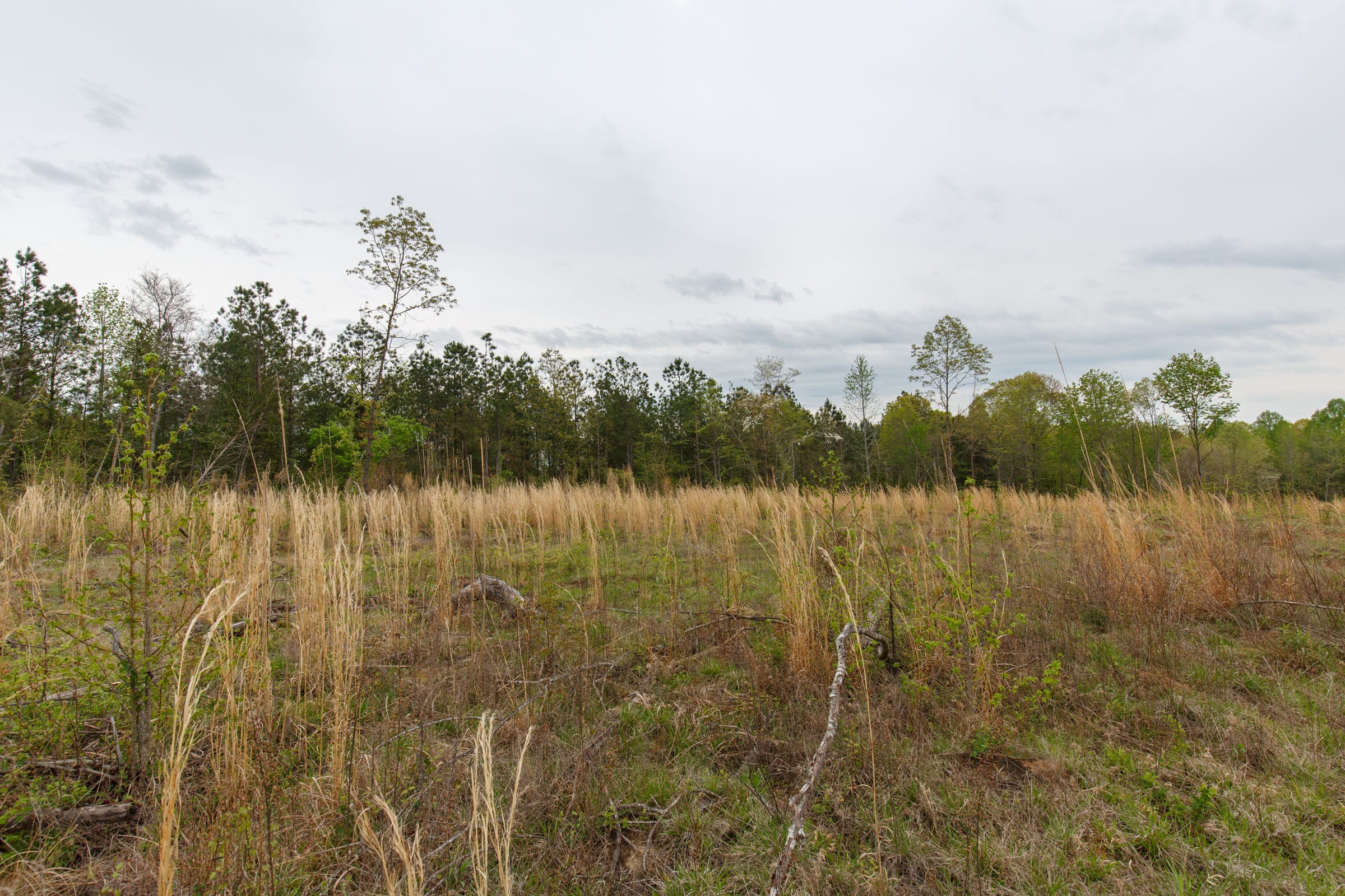 Twin Rivers Tract 32 photo 13
