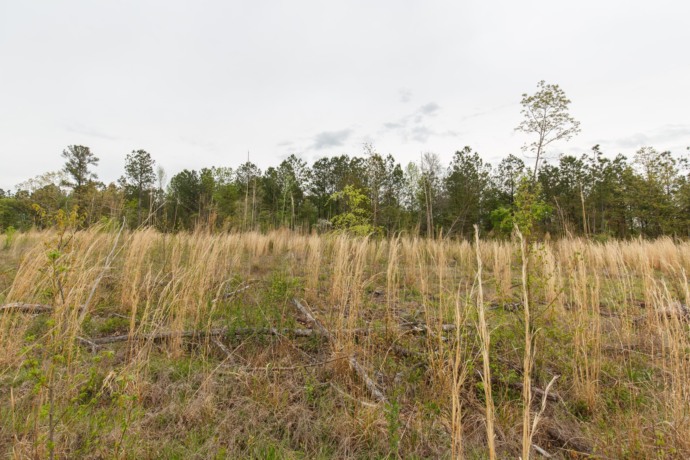Twin Rivers Tract 32 photo 14