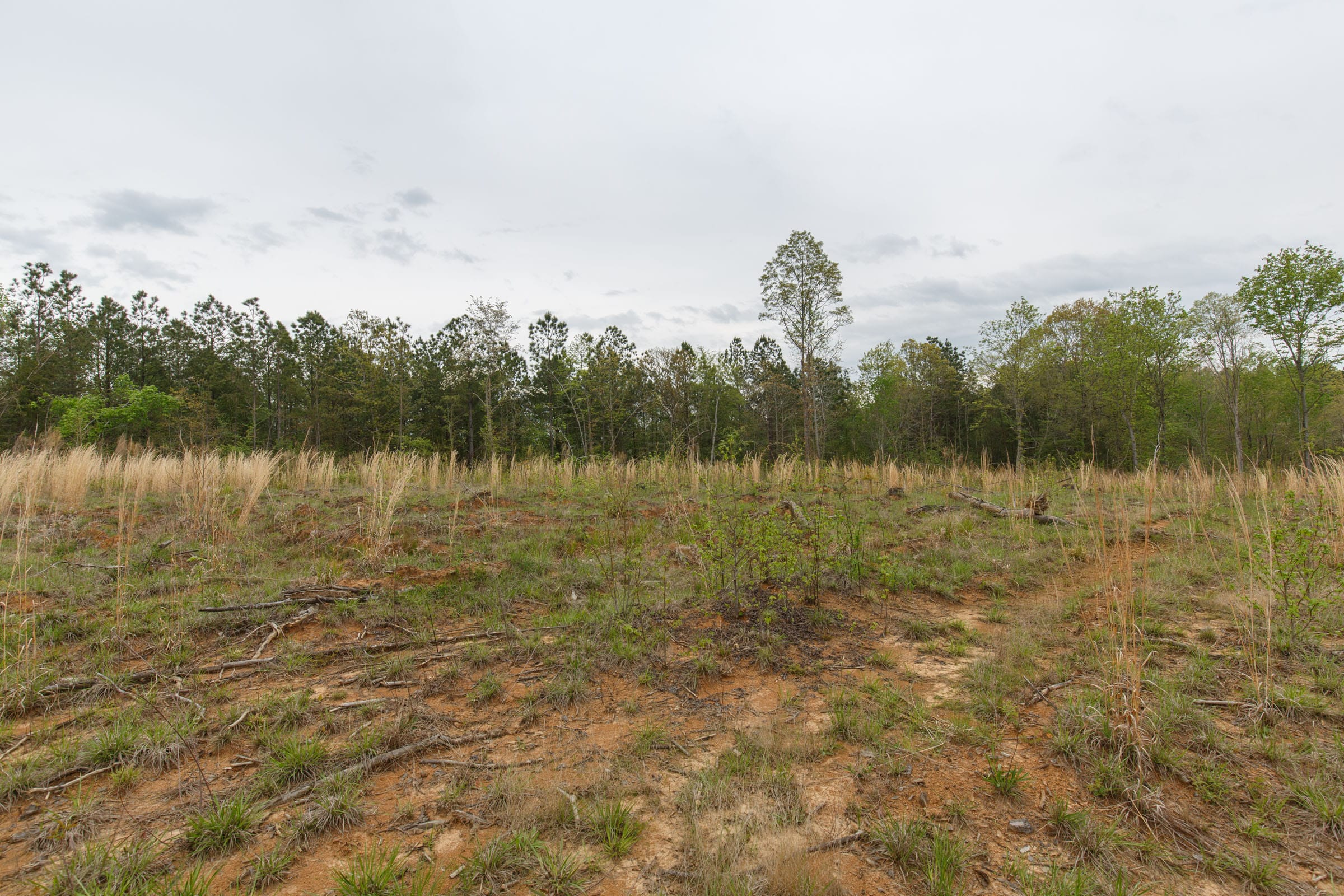 Twin Rivers Tract 32 photo 16