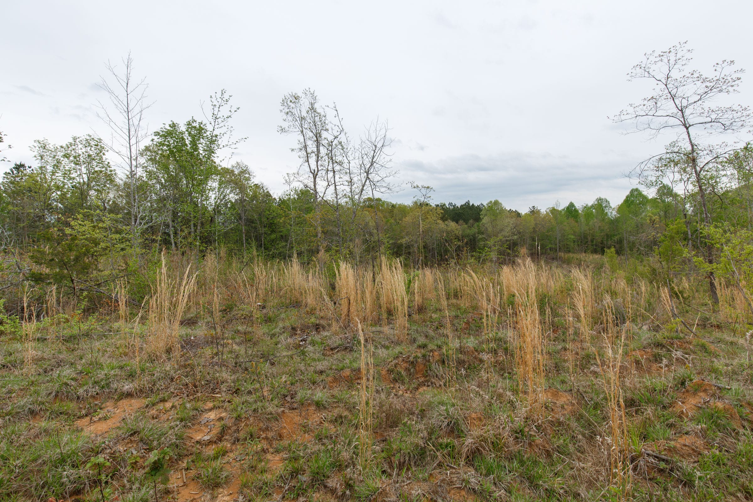 Twin Rivers Tract 32 photo 17