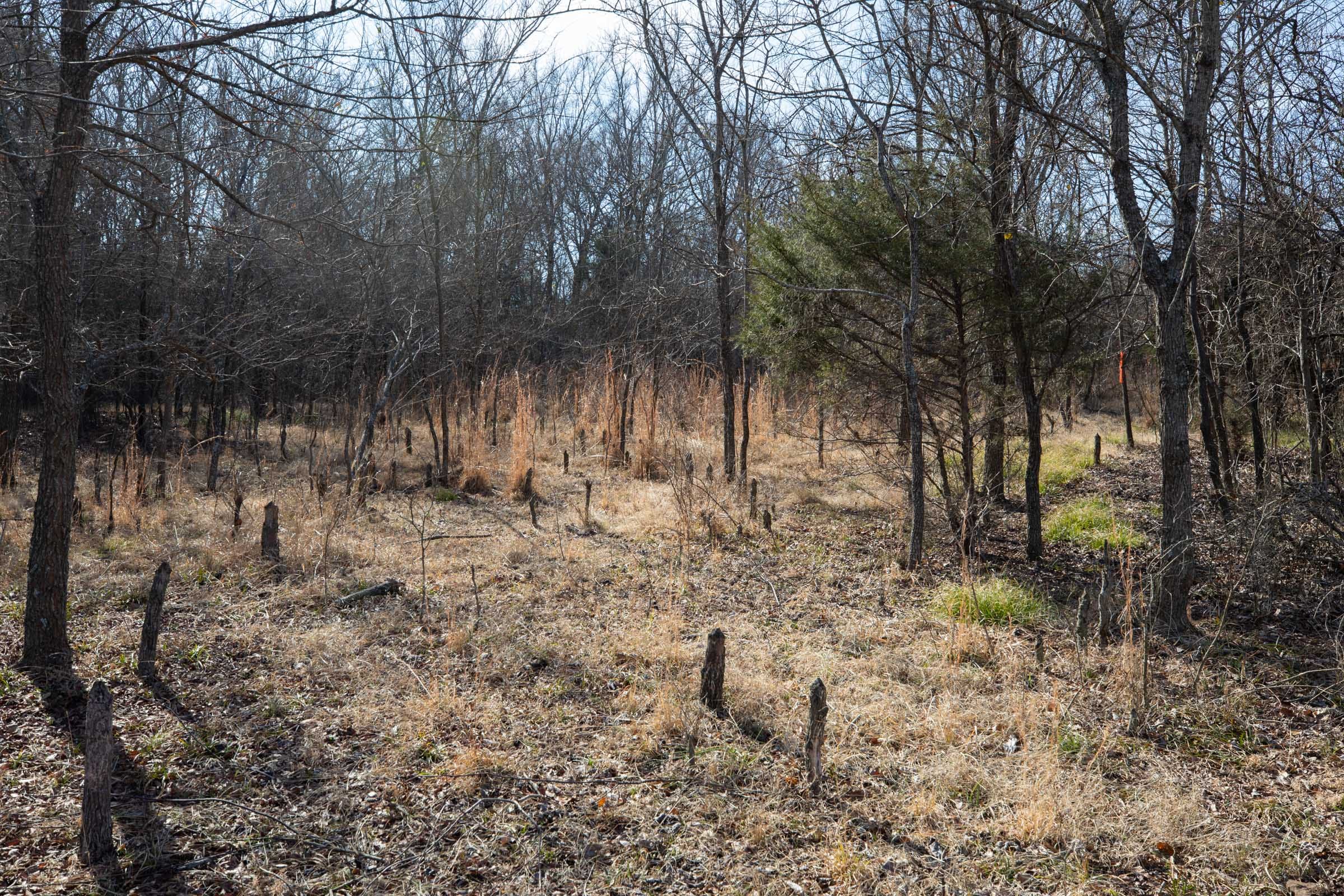 Painted Horse Tract 22 photo 1