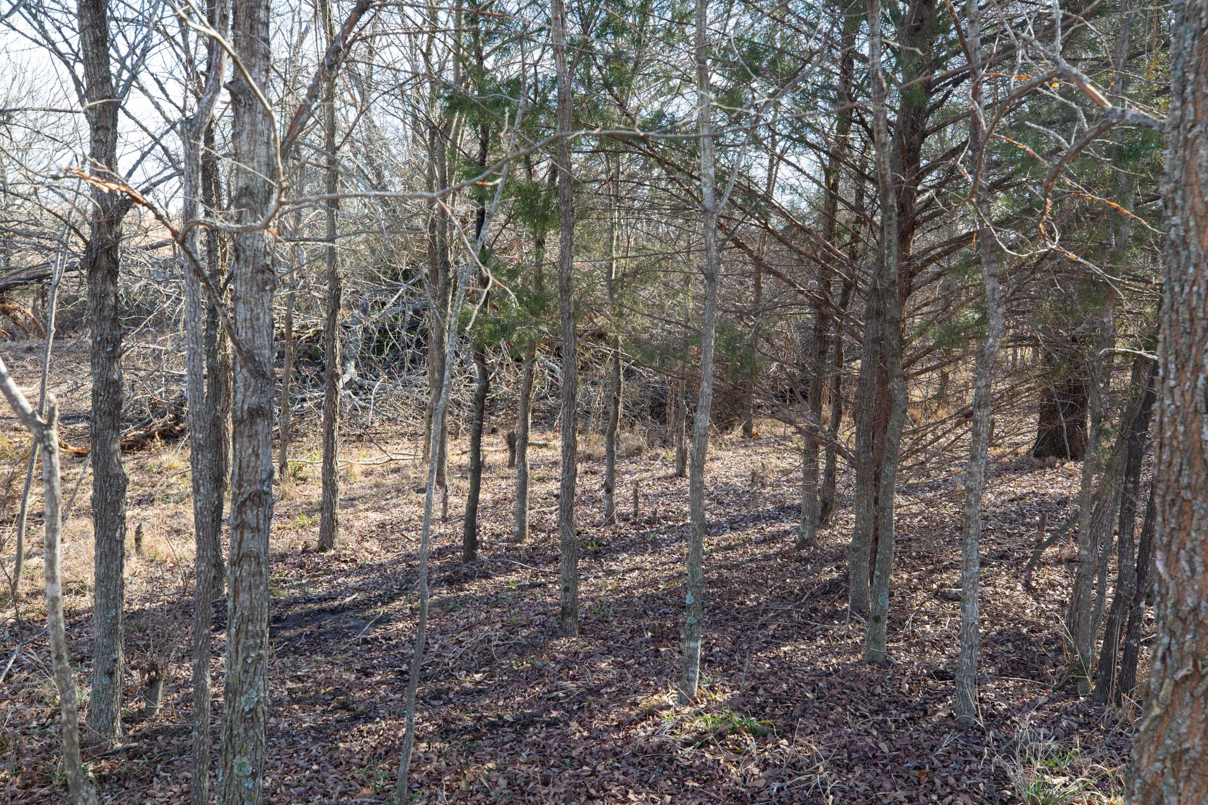 Painted Horse Tract 22 photo 3