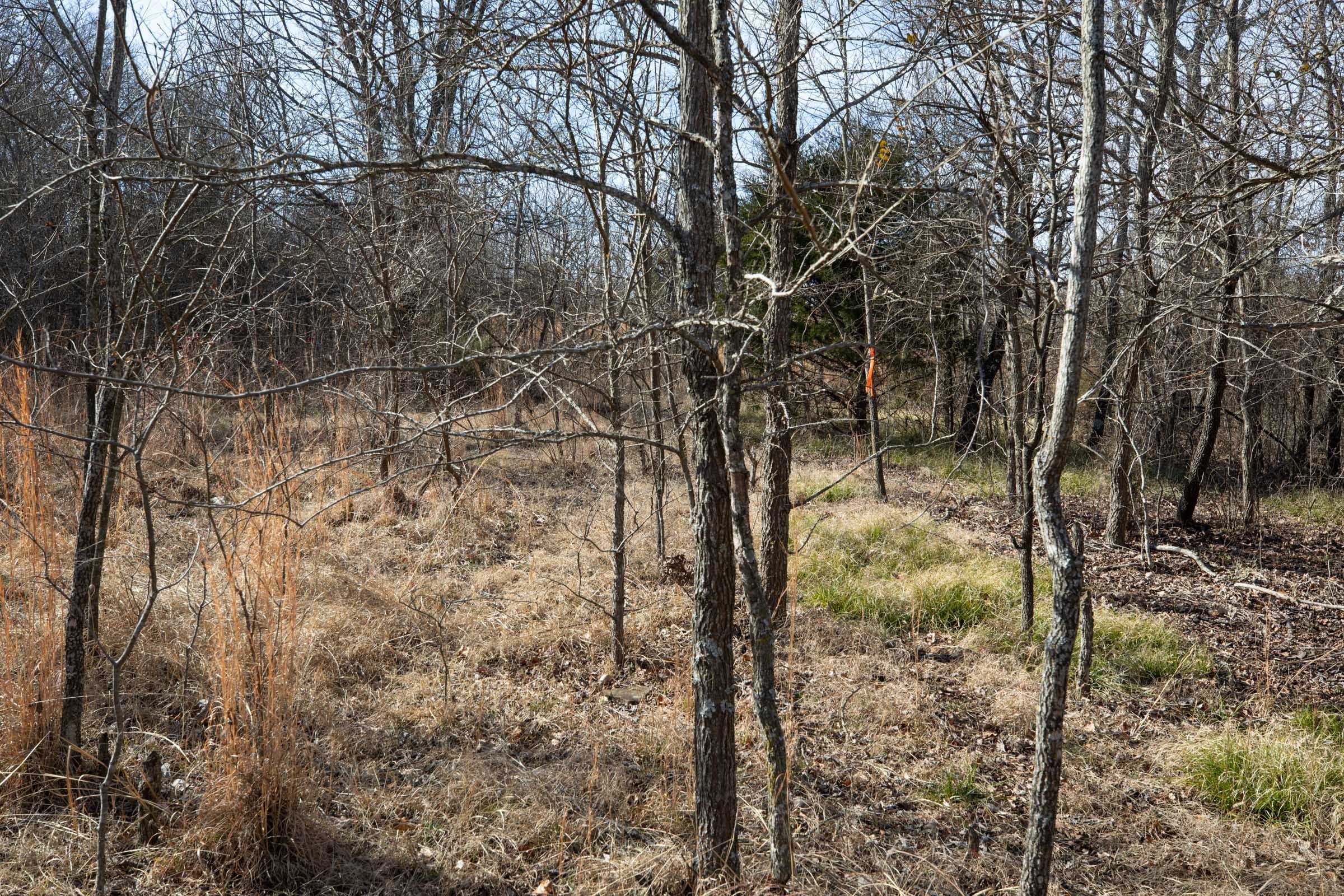 Painted Horse Tract 22 photo 4