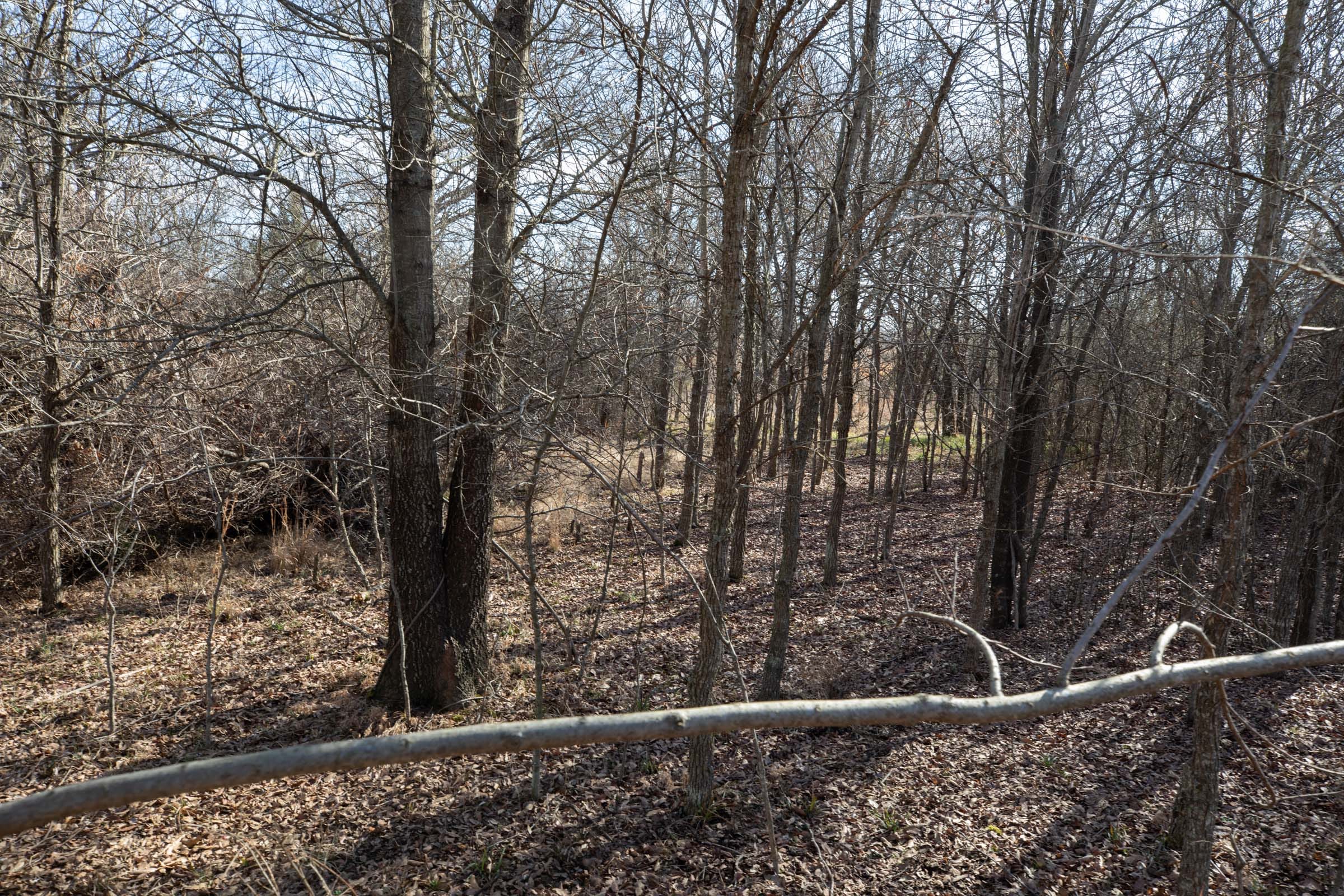 Painted Horse Tract 22 photo 6