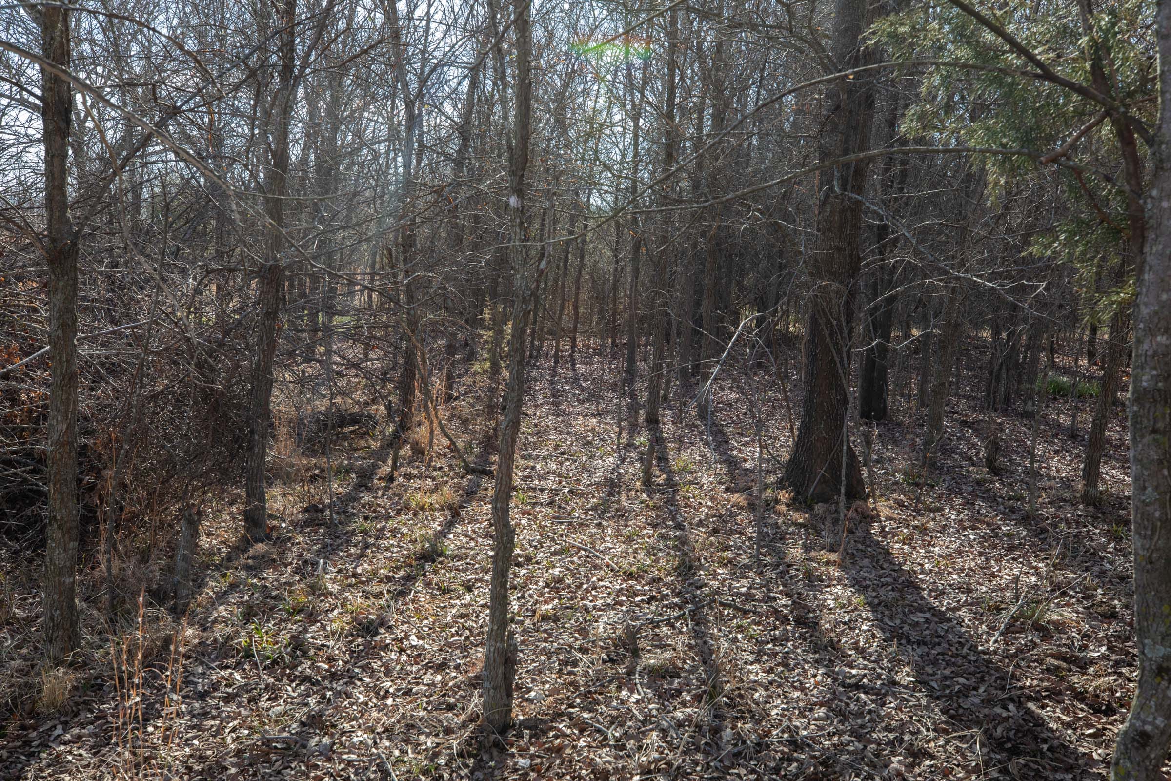 Painted Horse Tract 22 photo 7