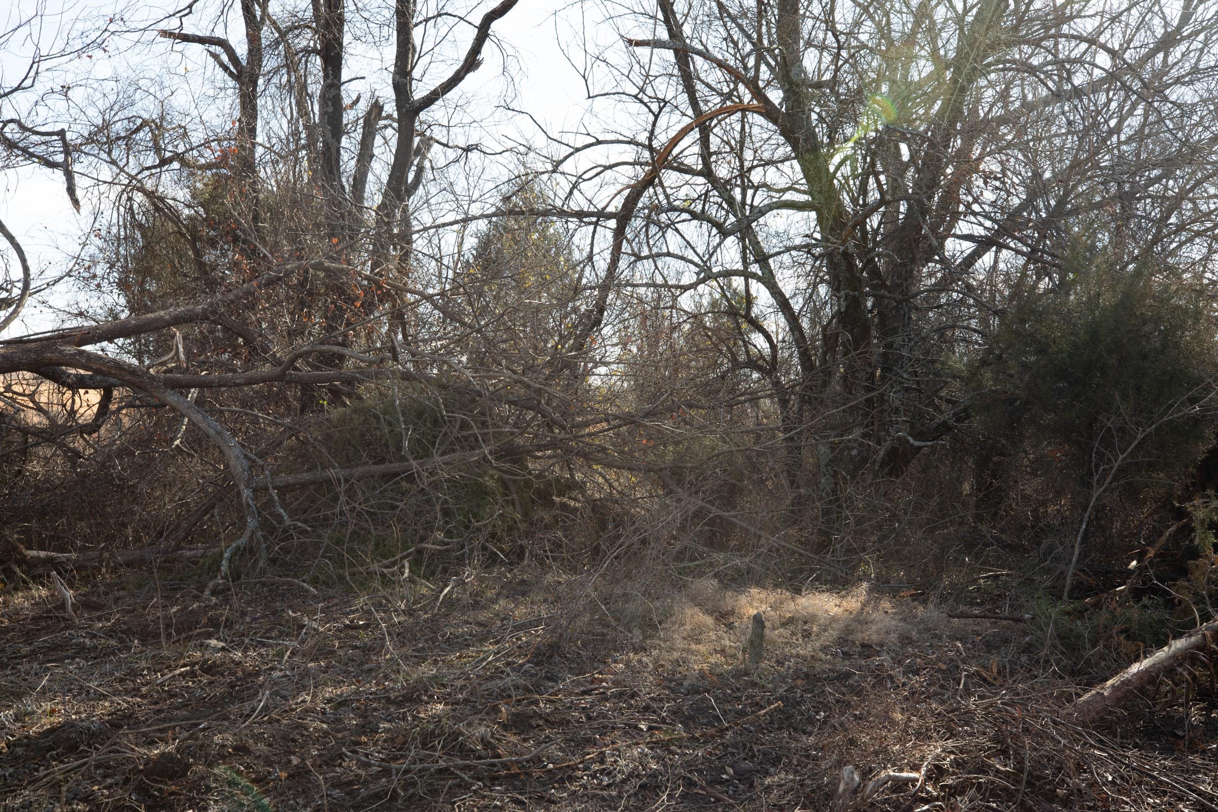 Painted Horse Tract 22 photo 8
