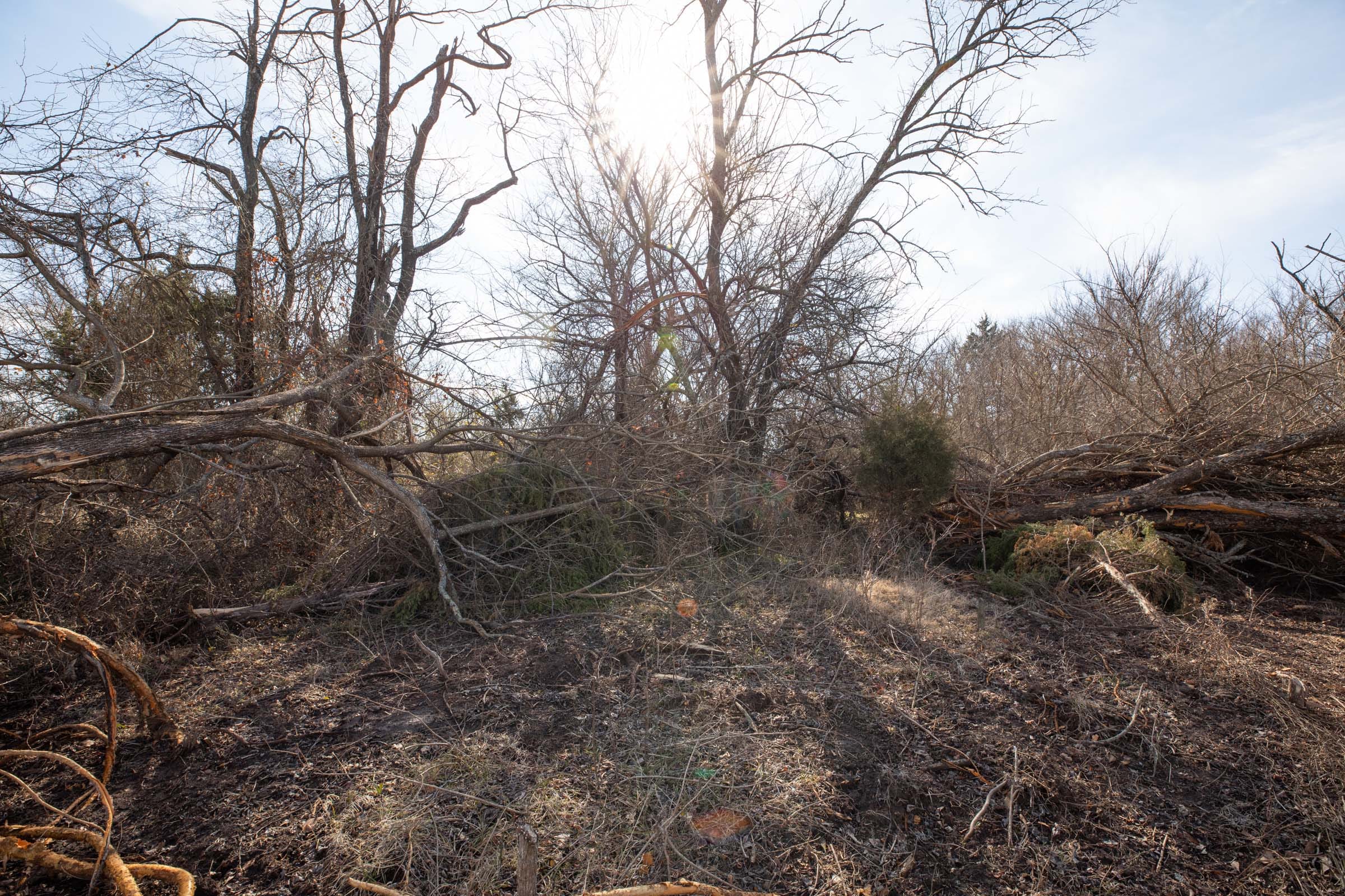 Painted Horse Tract 22 photo 9