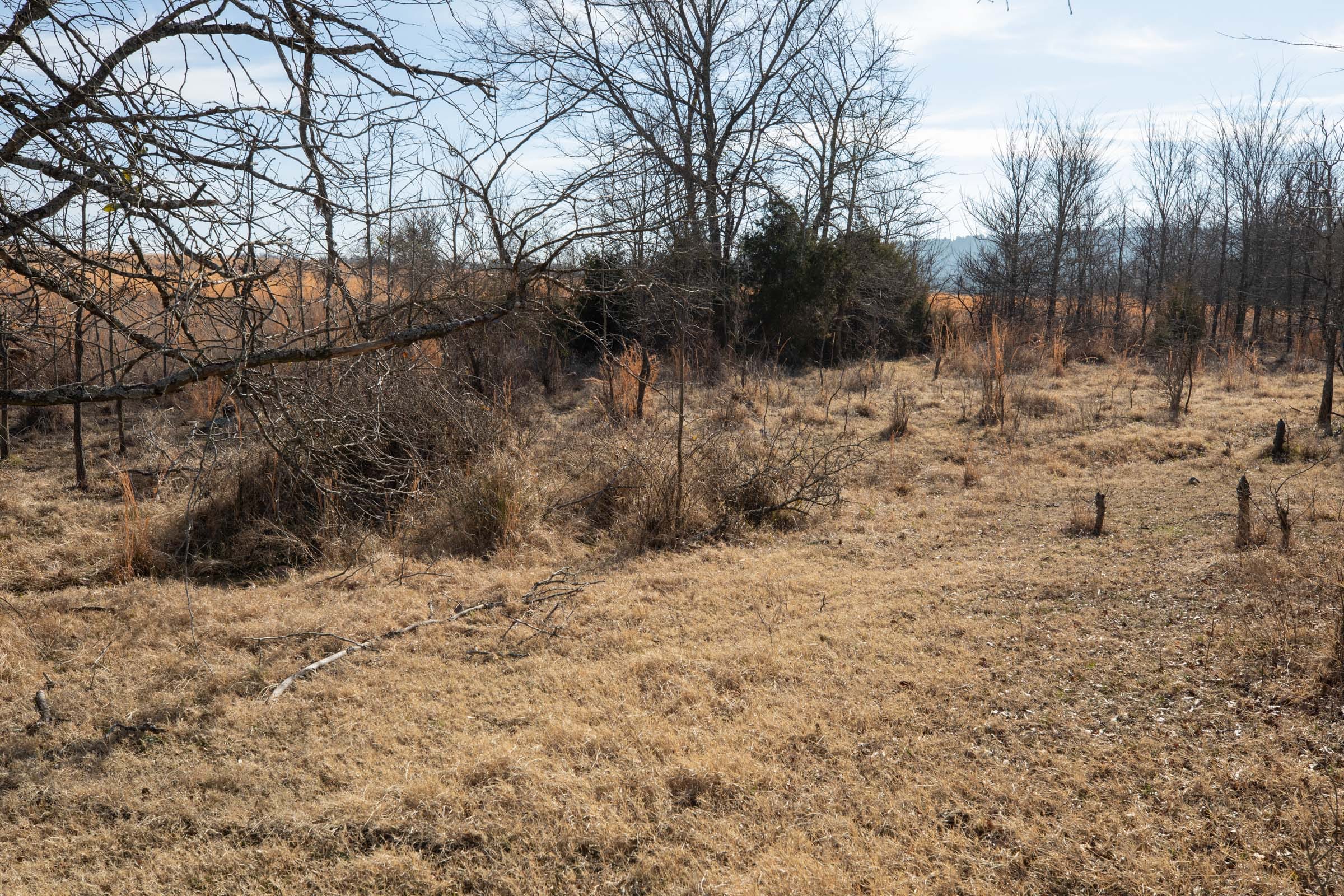 Painted Horse Tract 22 photo 11