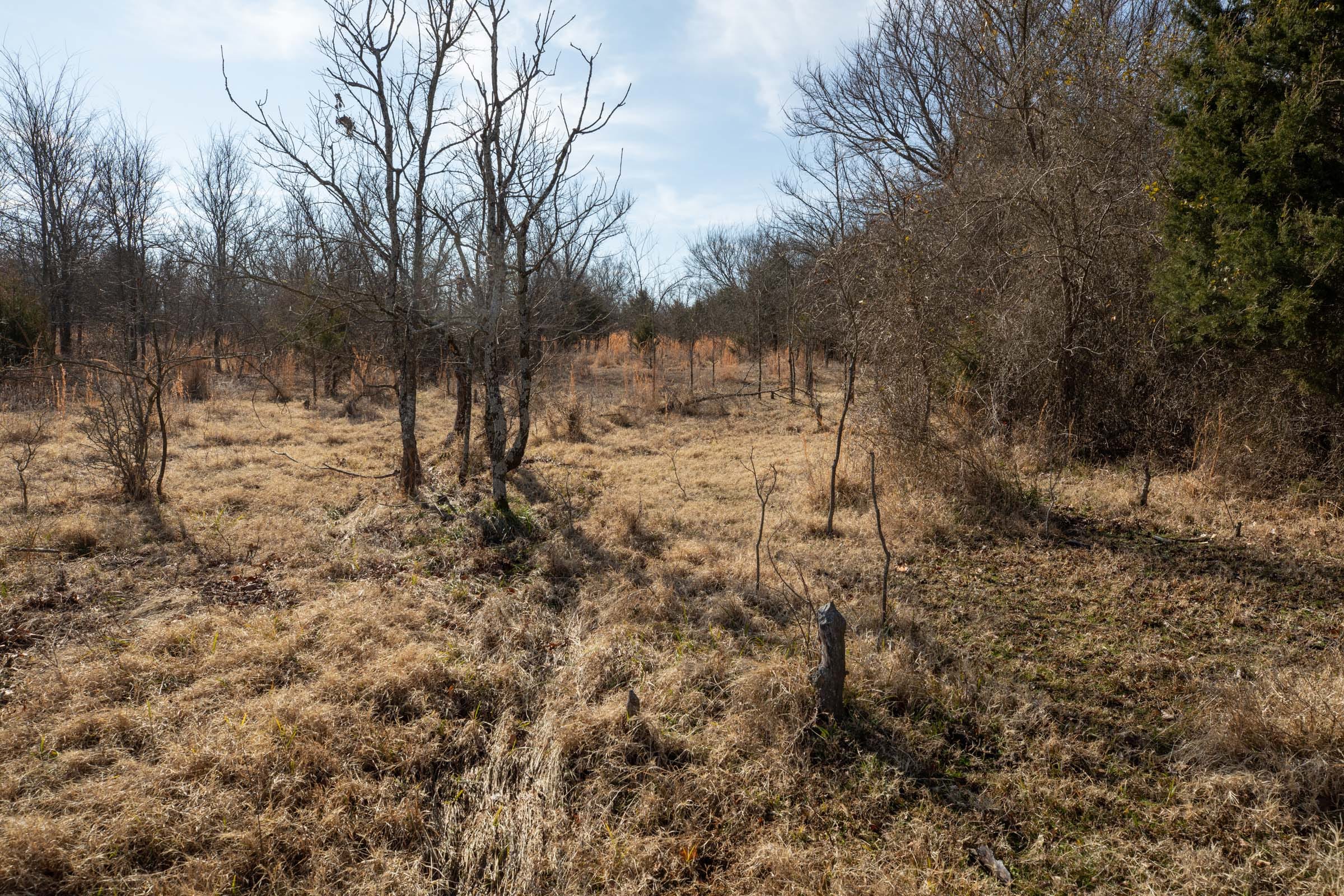 Painted Horse Tract 22 photo 12