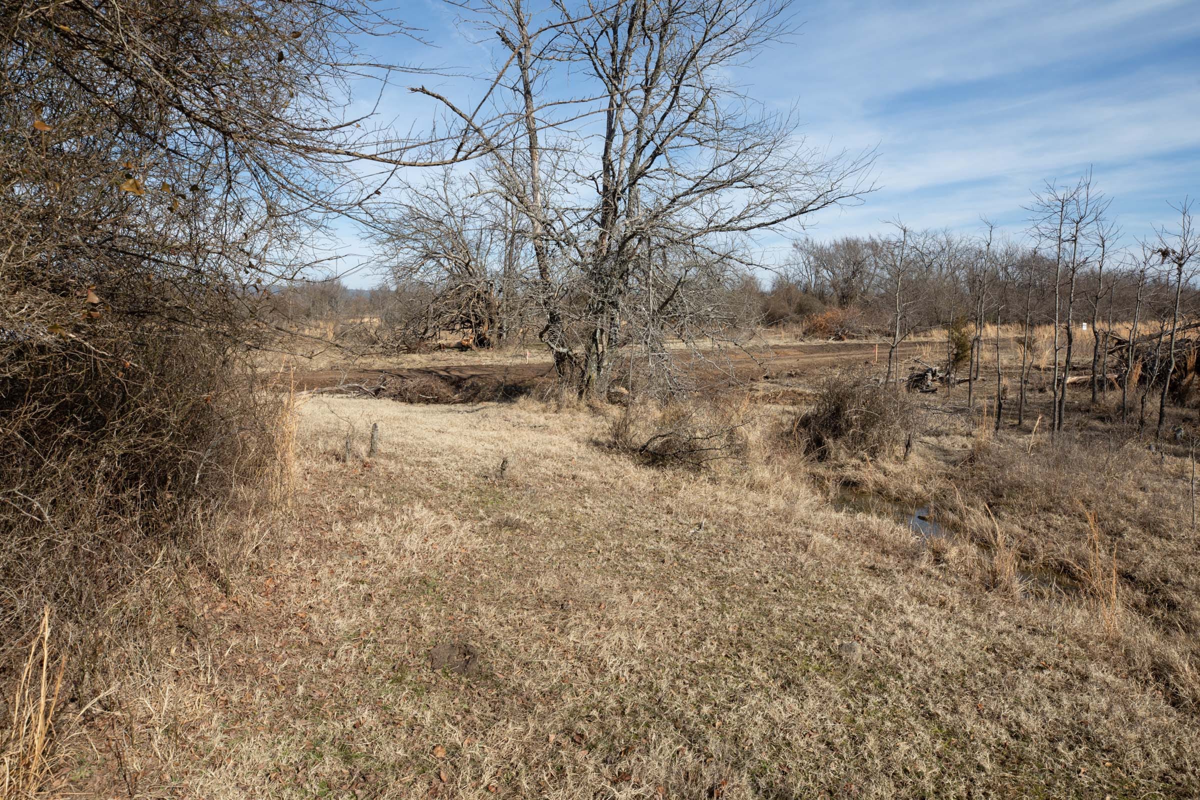 Painted Horse Tract 22 photo 13