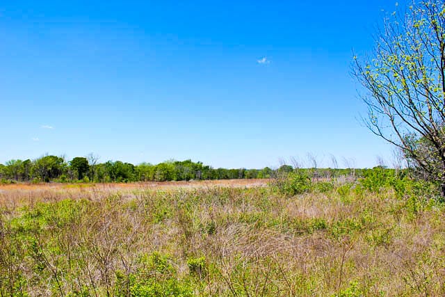 Saddlebrook Ranch Tract 8 photo 1