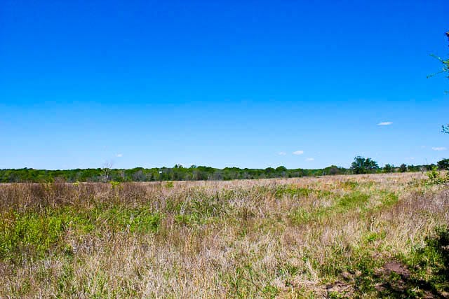 Saddlebrook Ranch Tract 8 photo 3